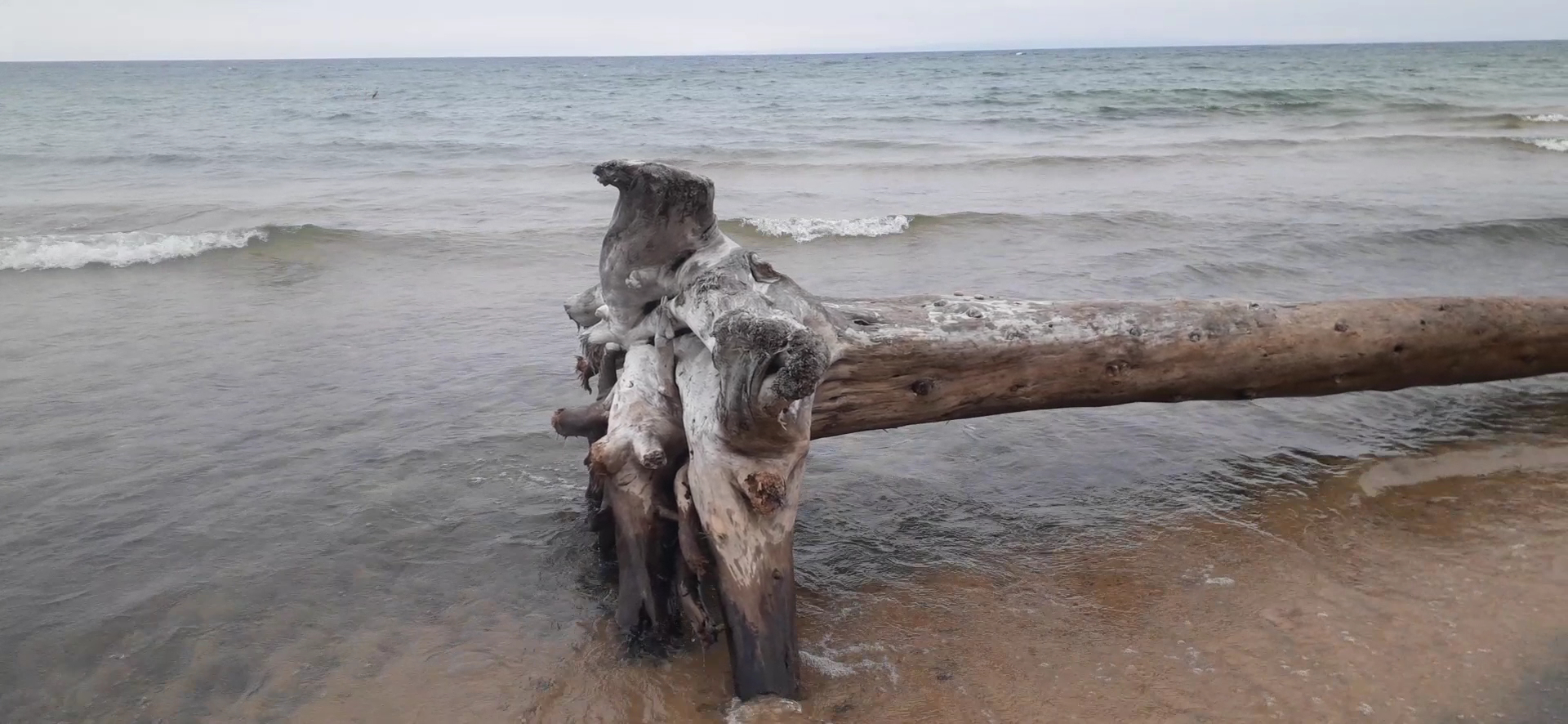 Lake Superior Whitefish Menu