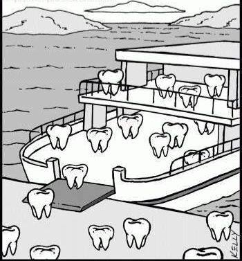 David T Brown, DDS PC