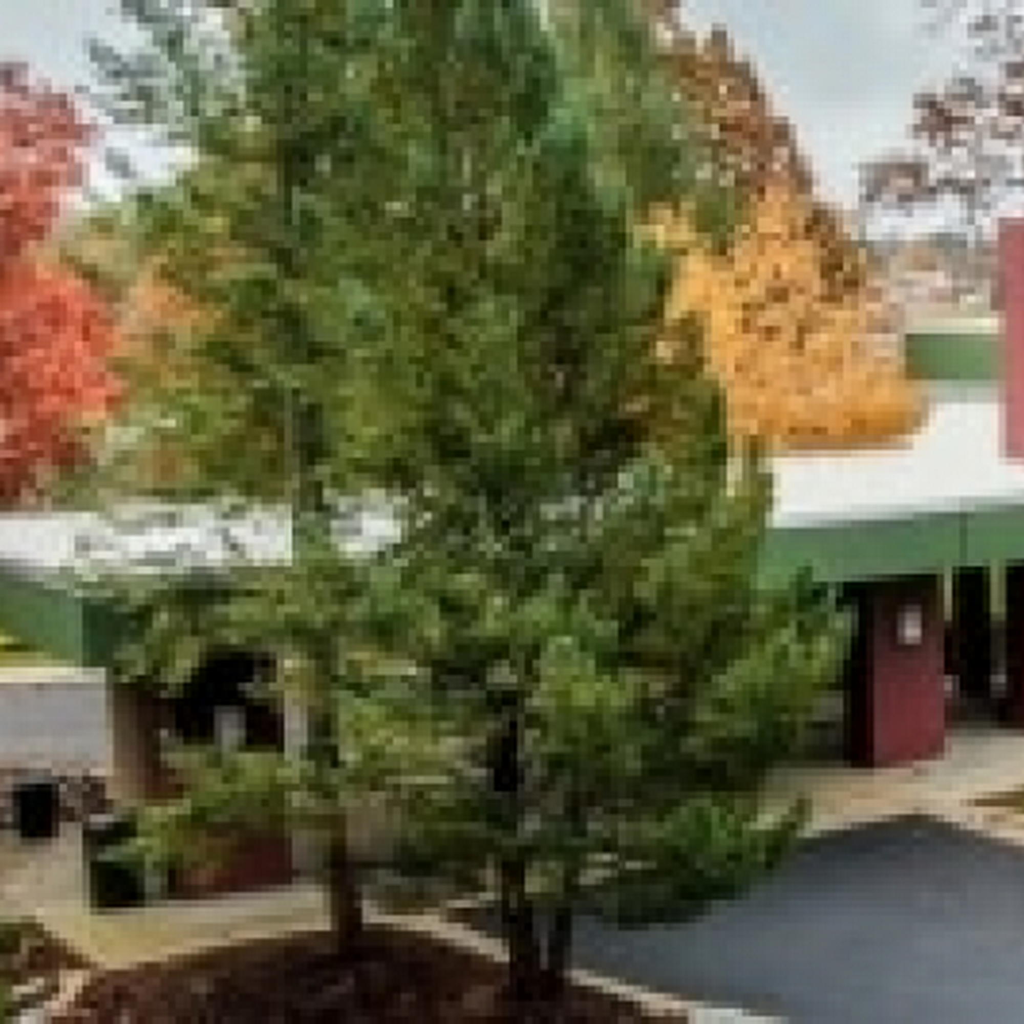 Bronson LakeView Hospital Paw Paw