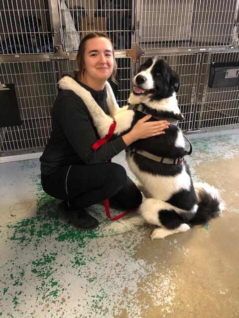 Seger Linda L DVM Pinckney