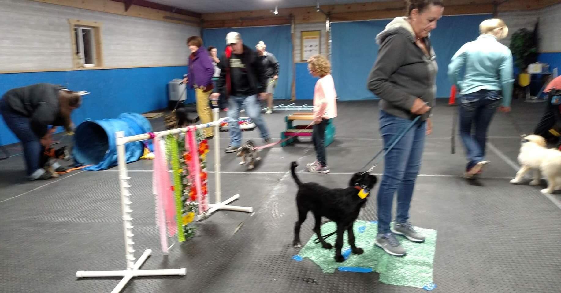 Attaboy Dog Training Pinckney