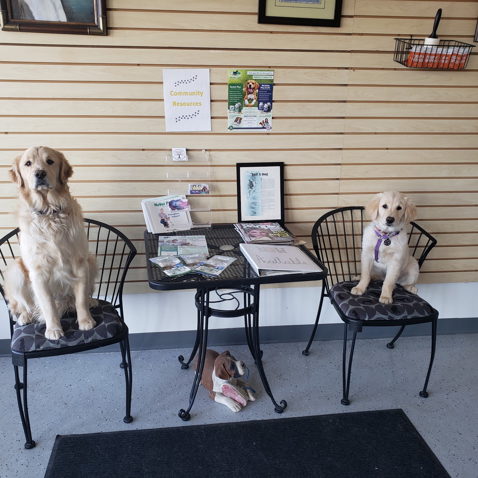 U Lucky Dog Pet Salon Pinckney