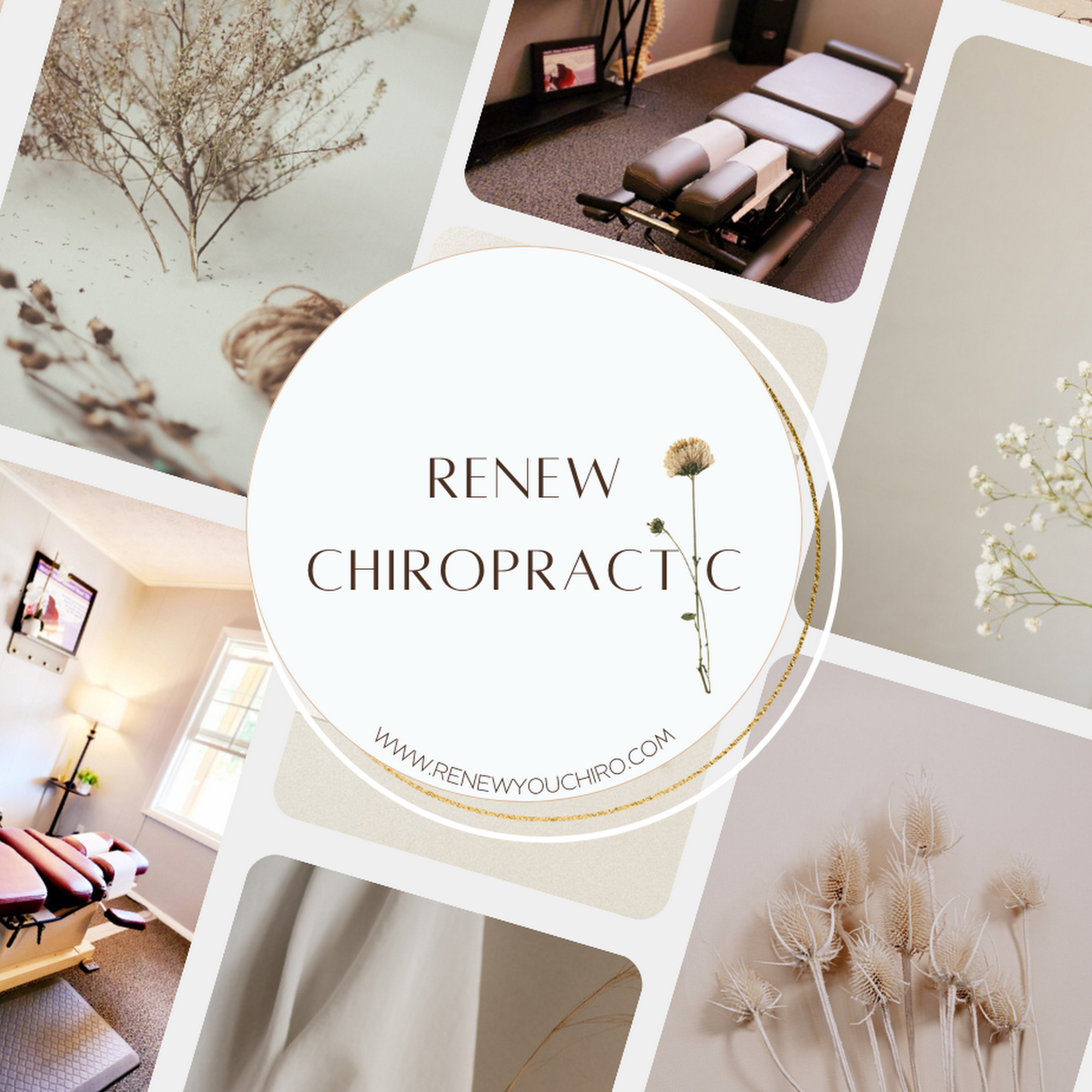 Renew Chiropractic 422 S Dexter St, Pinckney Michigan 48169