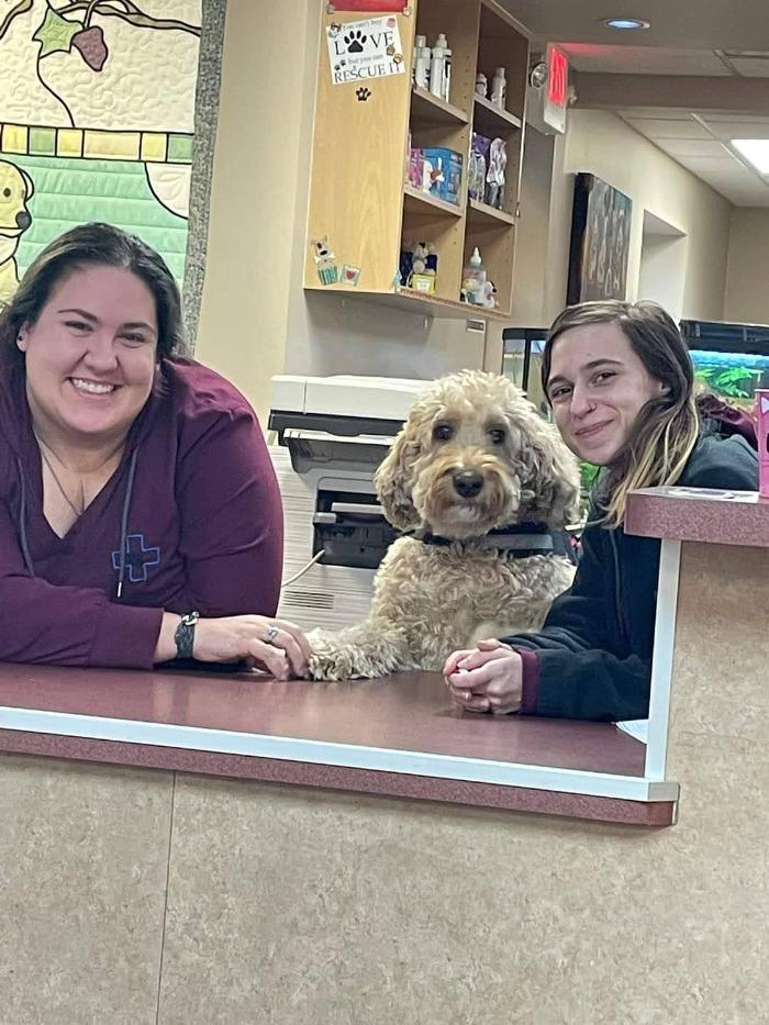 Parkway Veterinary Clinic Plymouth