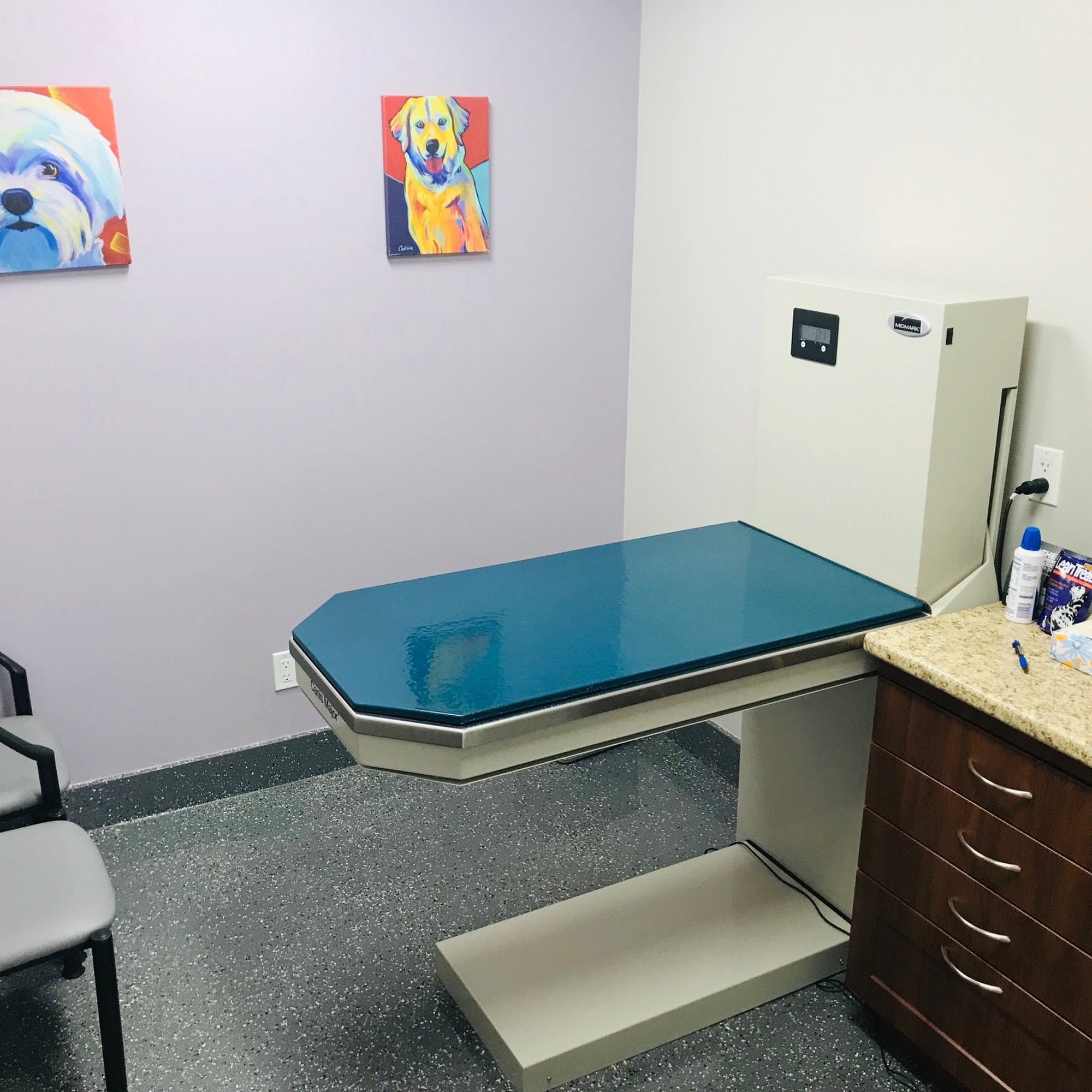 Plymouth Veterinary Hospital, Inc. Plymouth