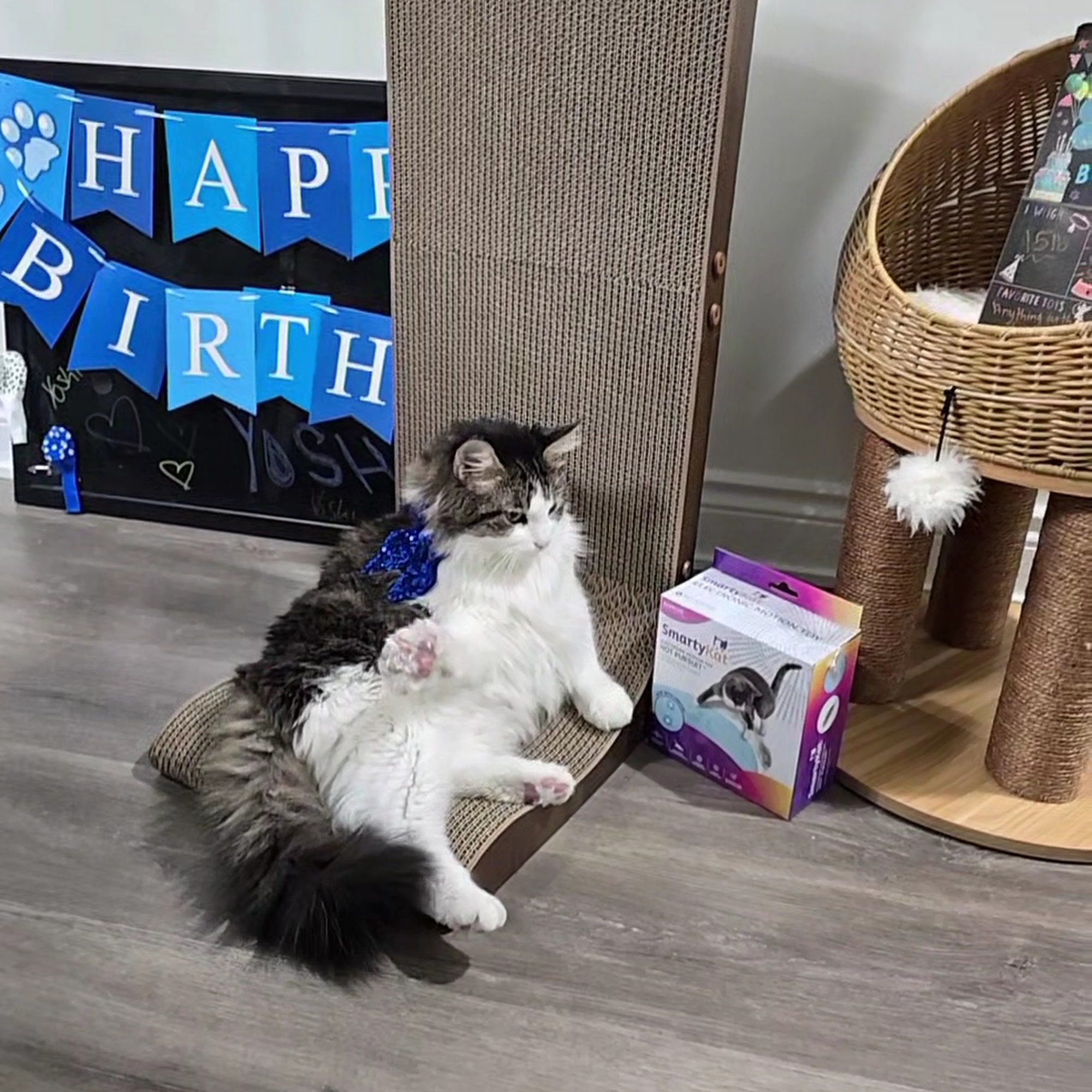 Roose Animal Hospital Plymouth