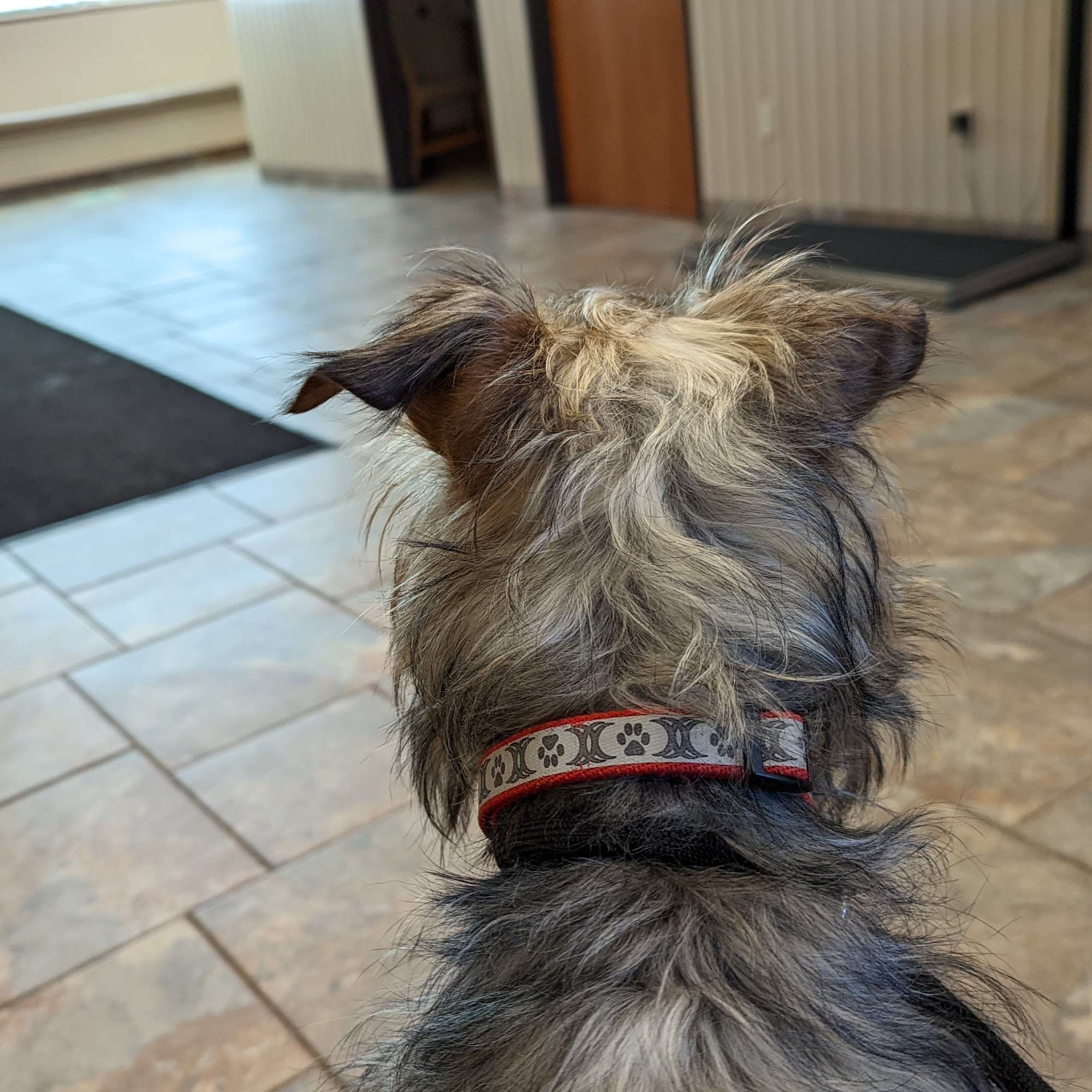 Roose Animal Hospital: Knight Karen L DVM Plymouth