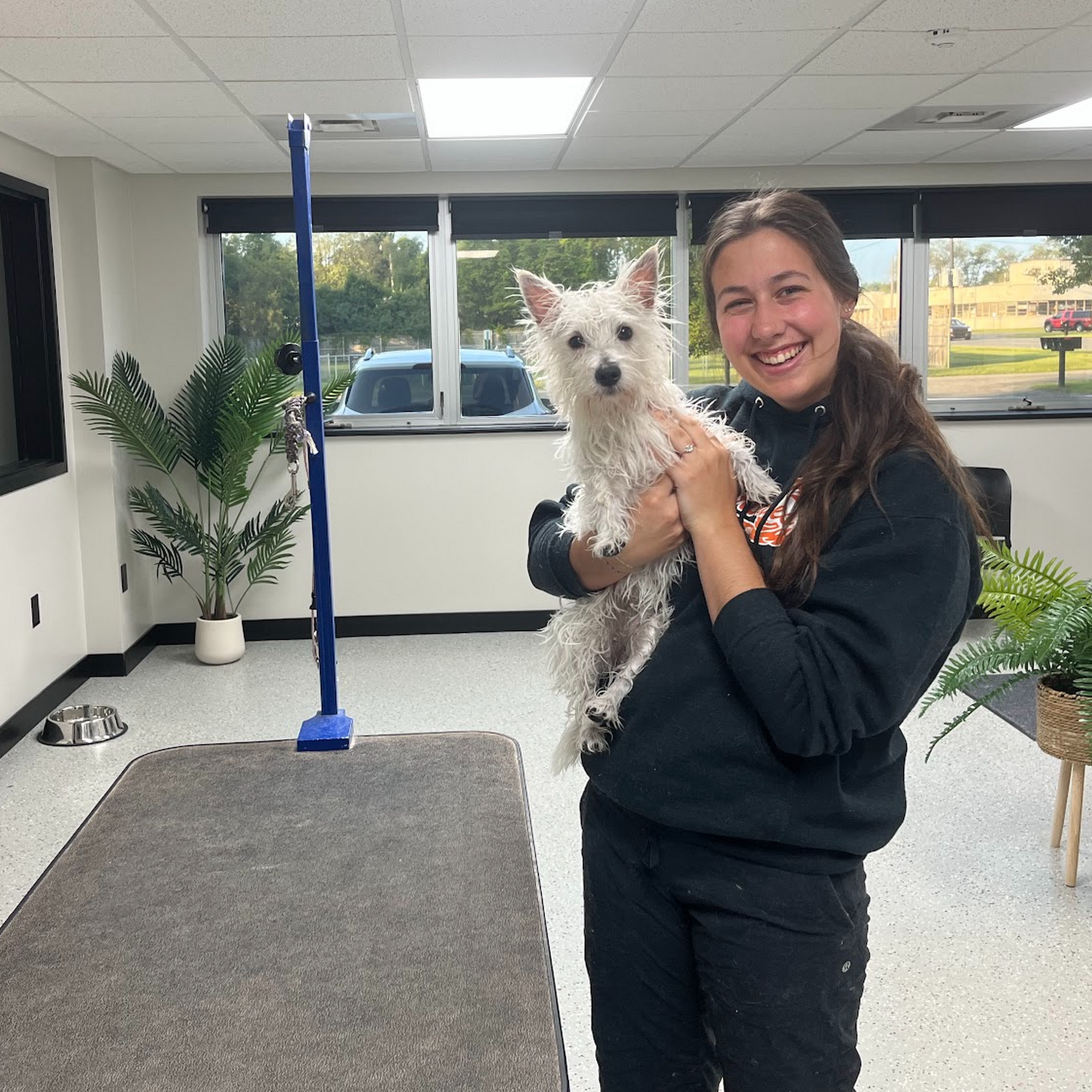 Hounds and Co. Pet Supplies Portage