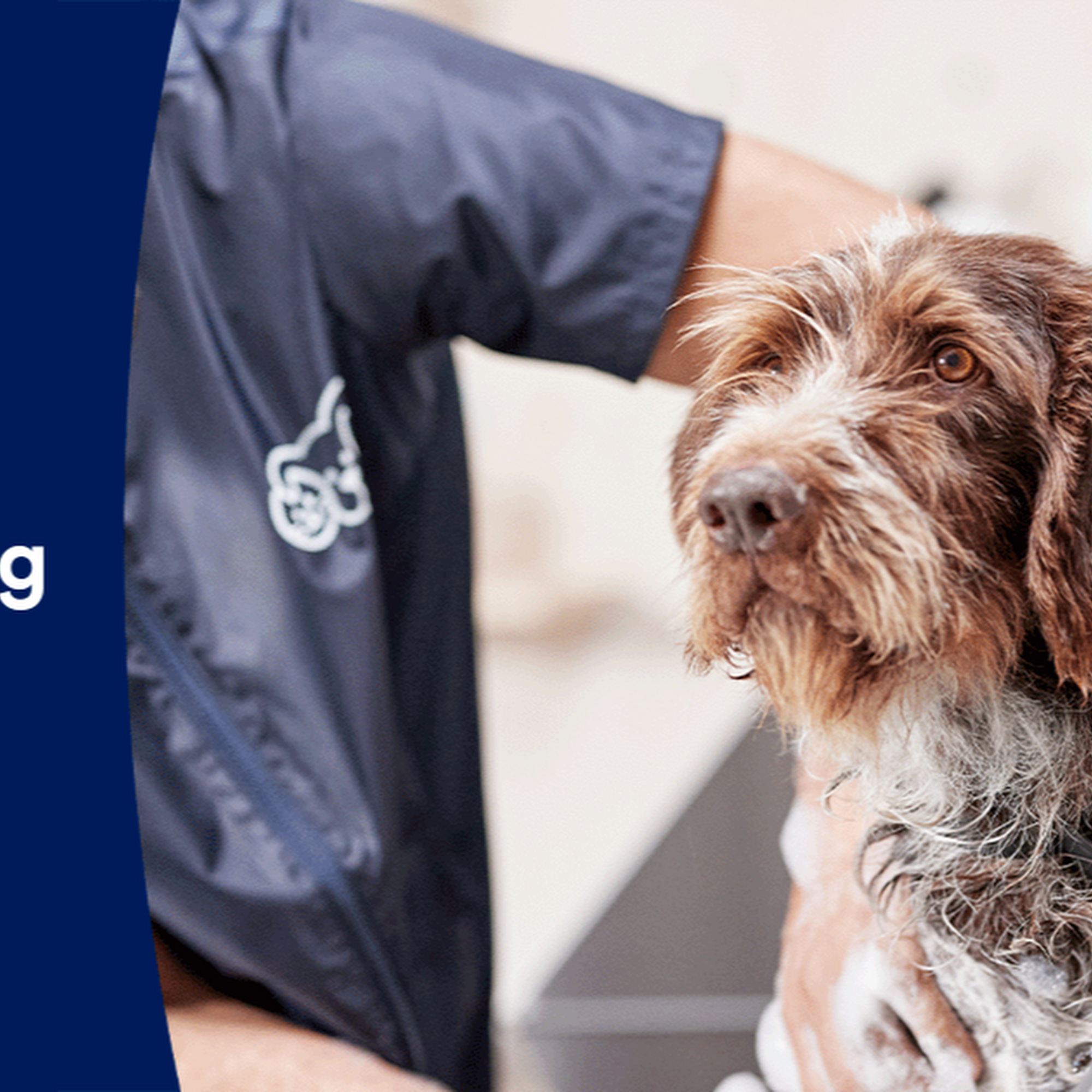 Petco Grooming Portage