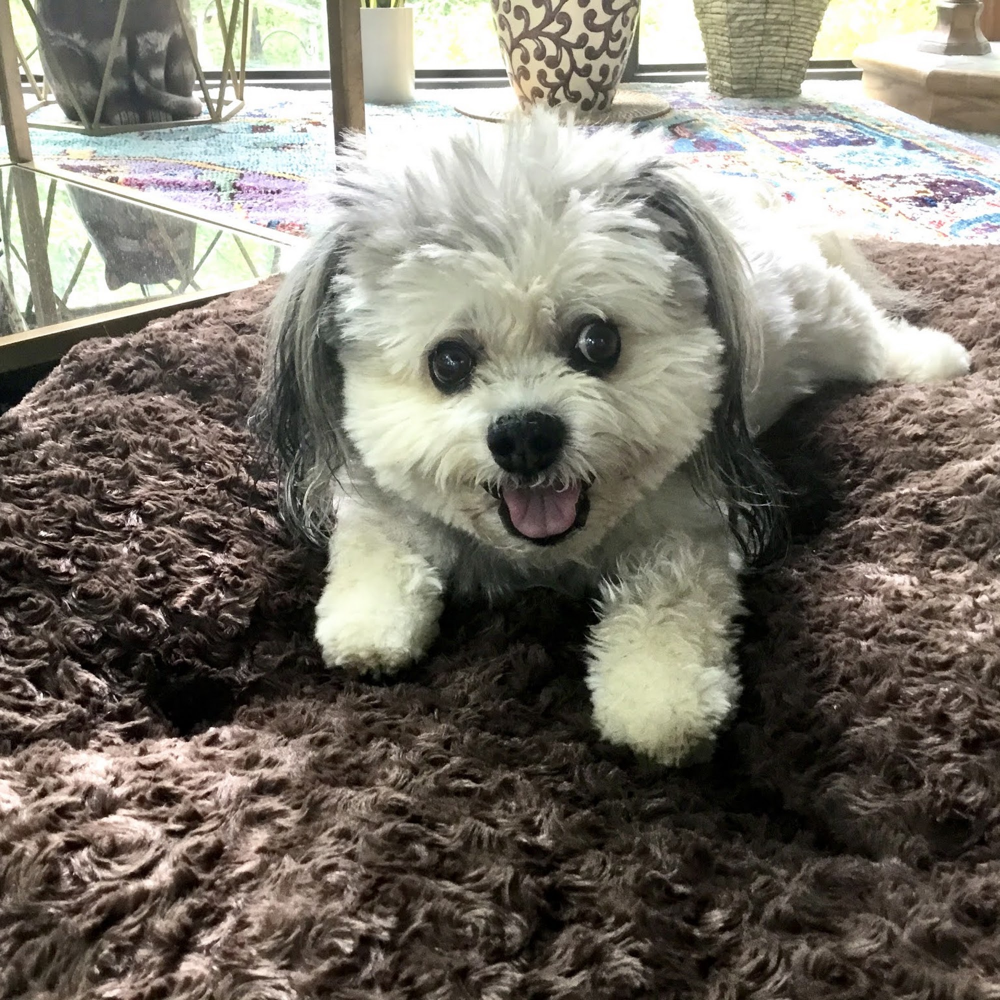 Pinky's Dog House Prudenville