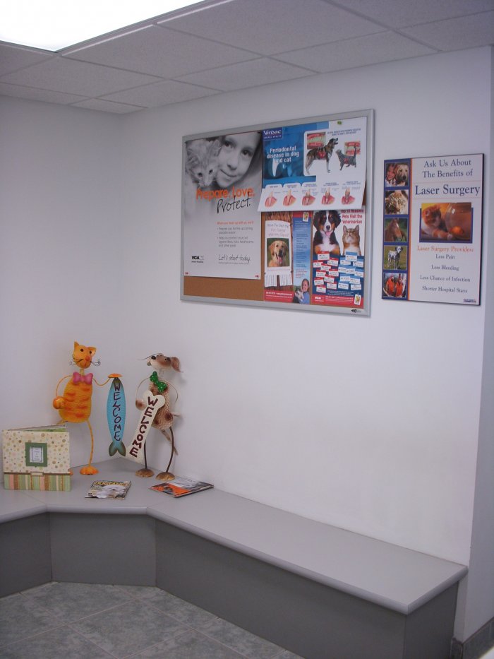 VCA Beech Road Animal Hospital Redford