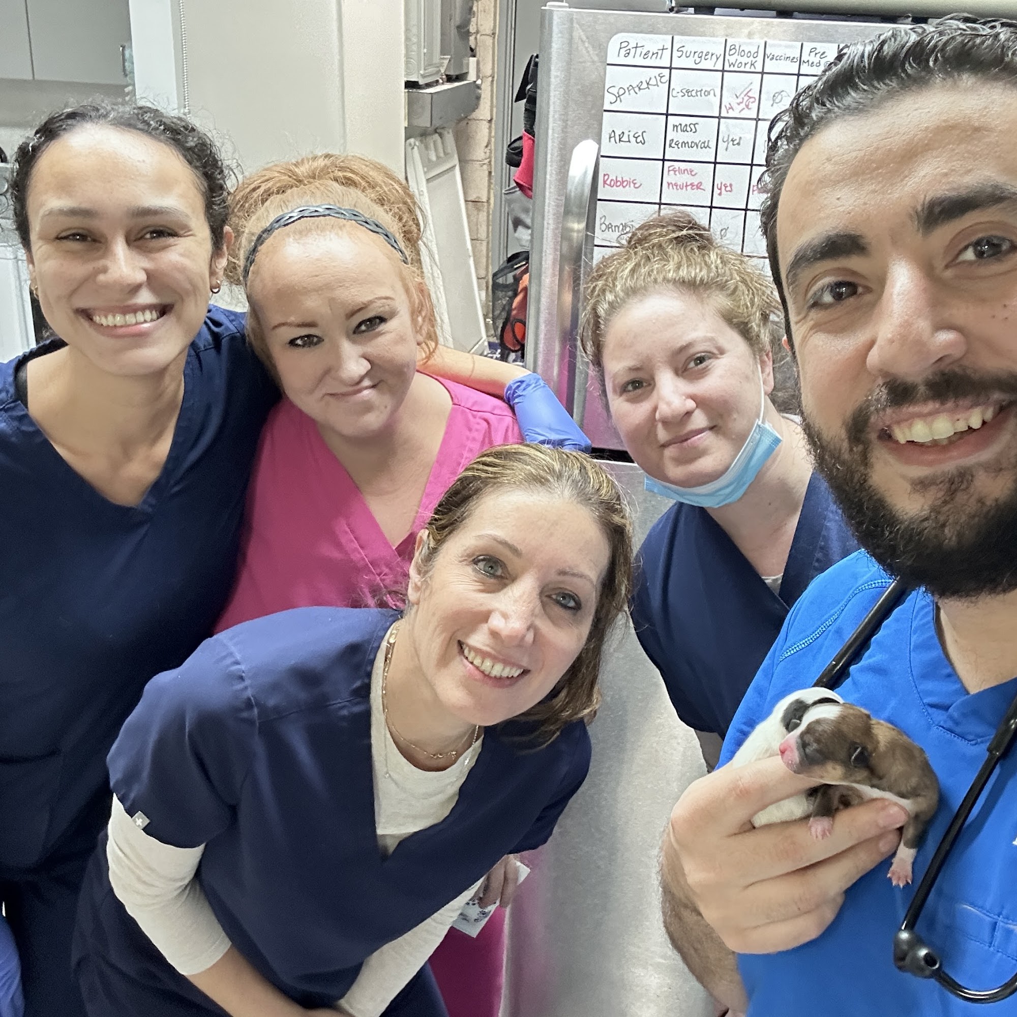 Five Mile Animal Hospital Redford