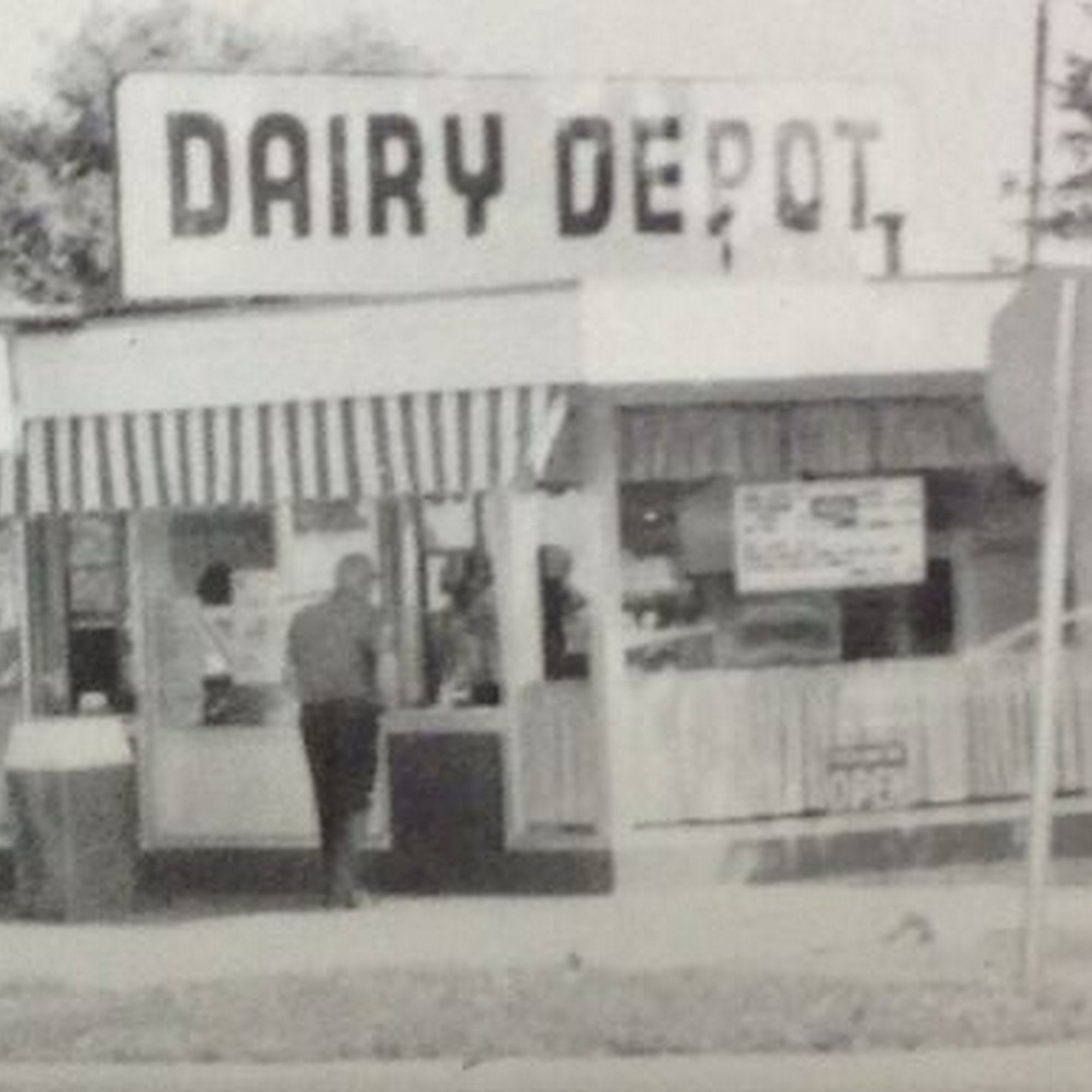 Dairy Depot Reed City
