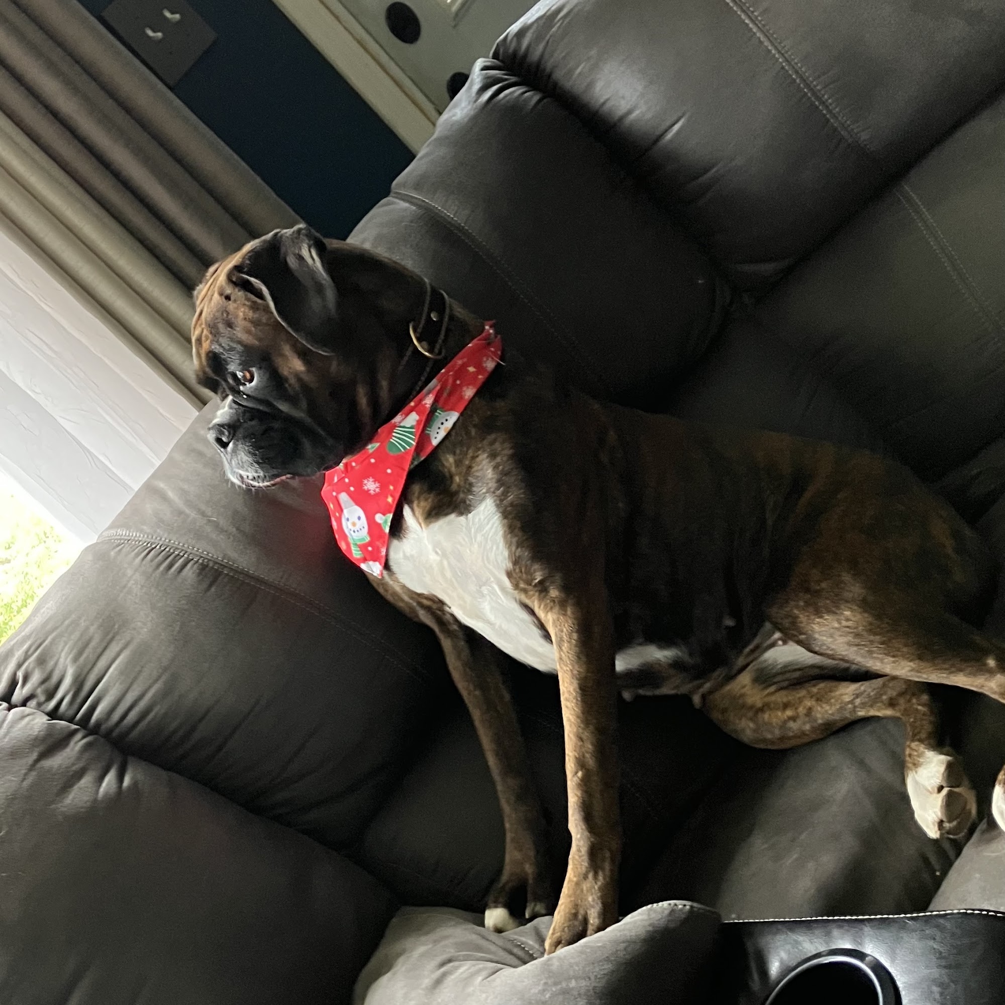 Gull Lake Animal Hospital Richland