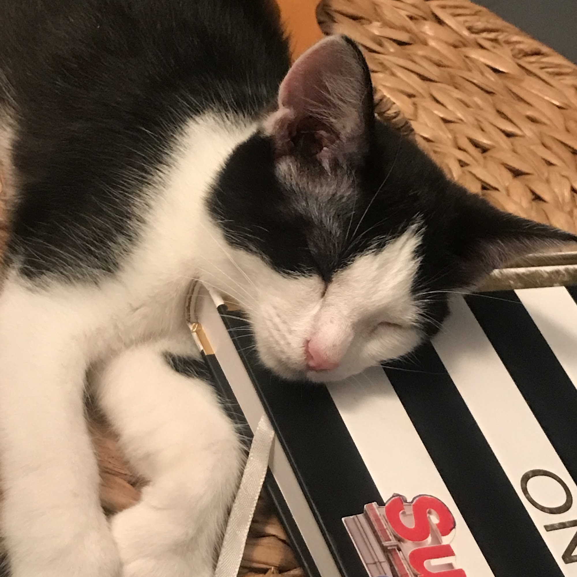 Red Barn Cat Clinic, LLC Richland