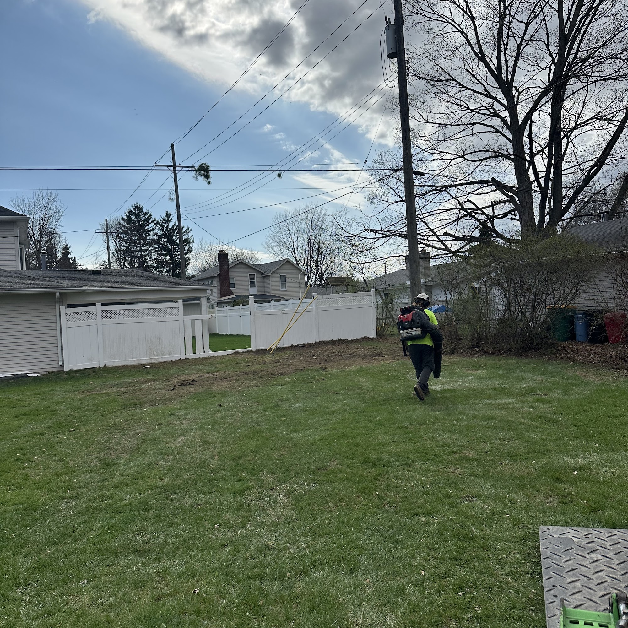Active Tree Experts