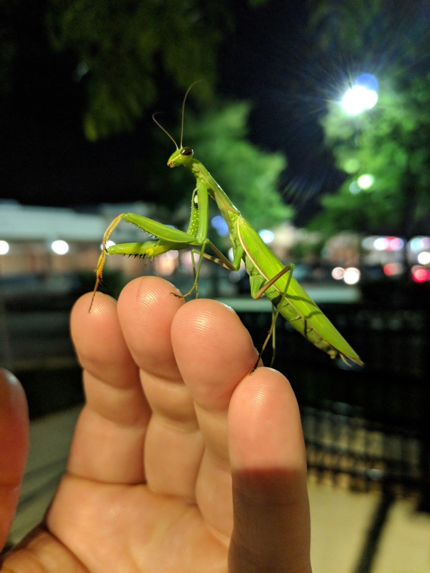 Photo credit: nextdoor