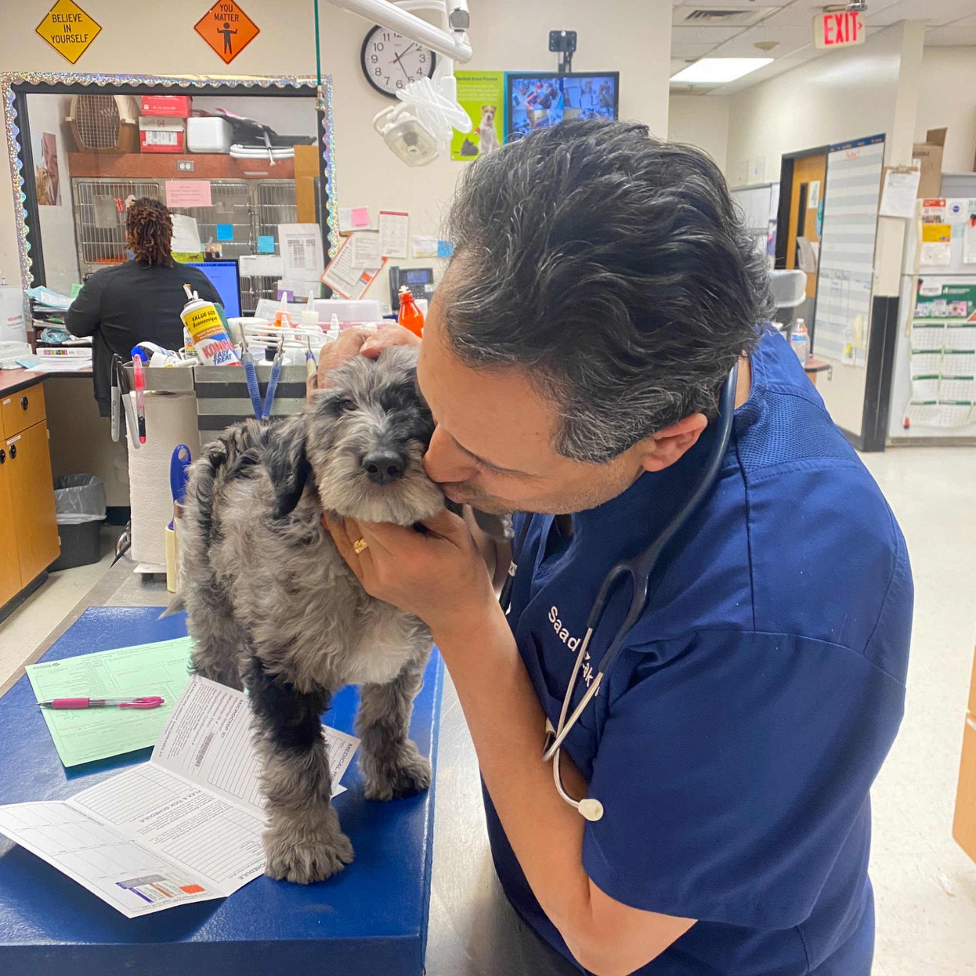 Auburn Animal Hospital Rochester Hills