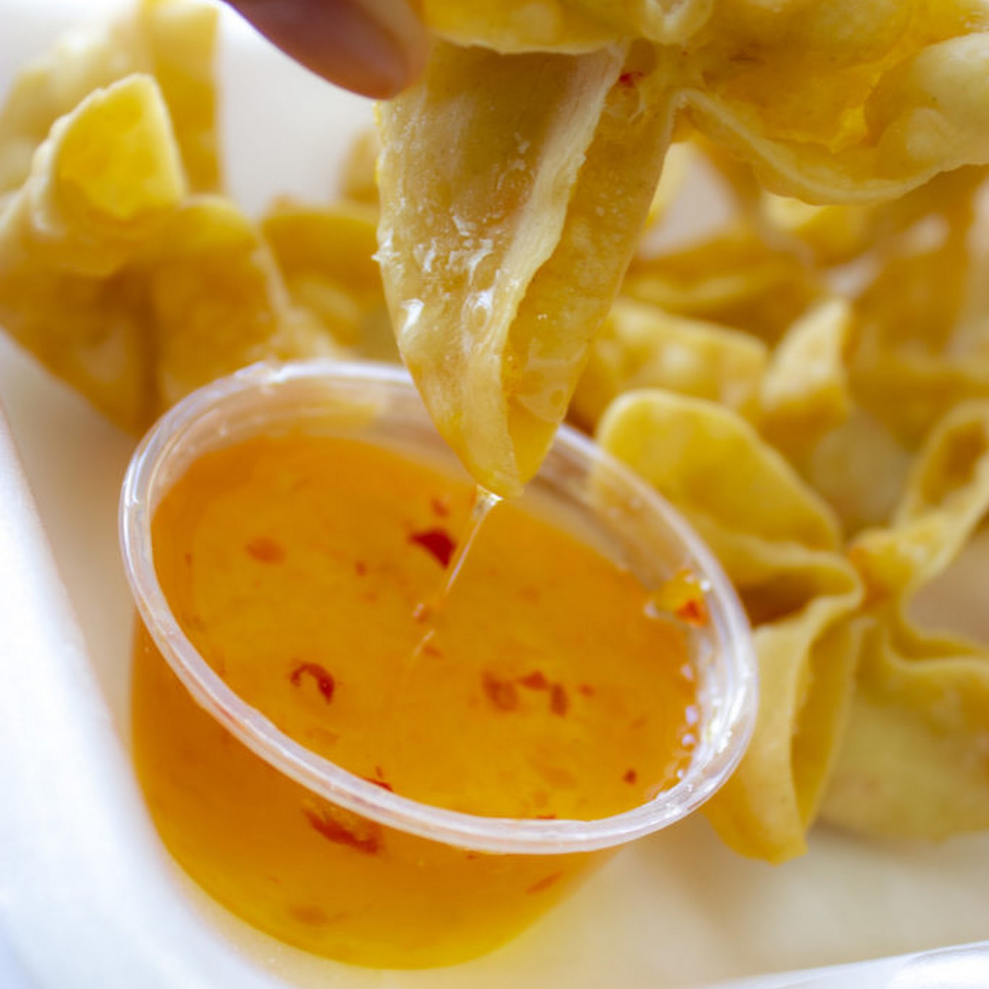 Lam Taste Chinese Takeout Rochester Hills