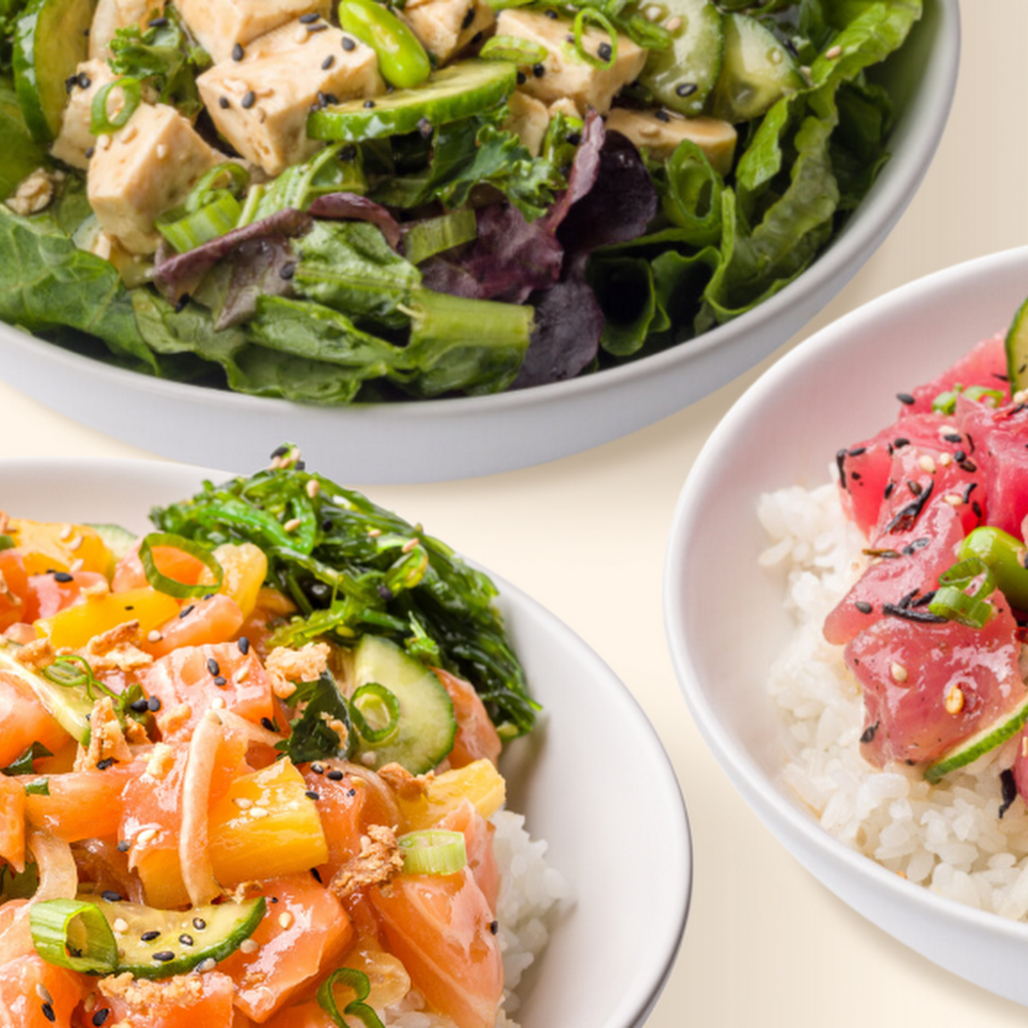 Pokeworks 178 N Adams Rd, Rochester Hills