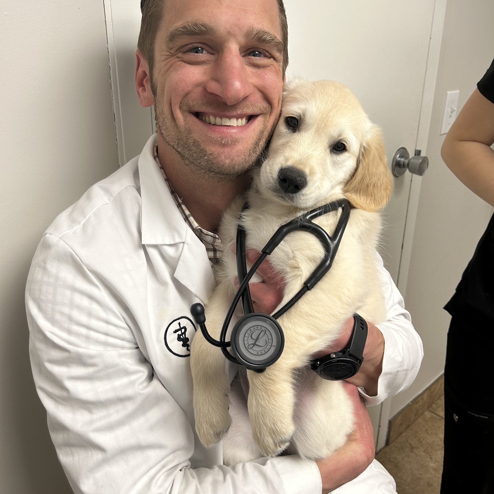 Rockford Animal Hospital Rockford