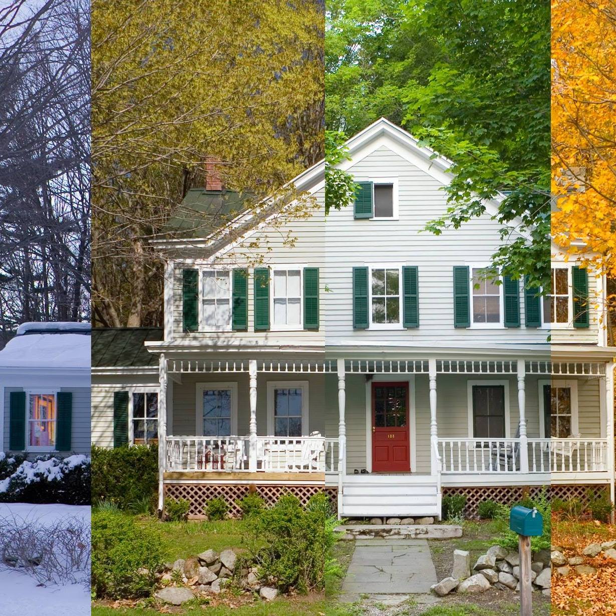 Perfection Plus Painting