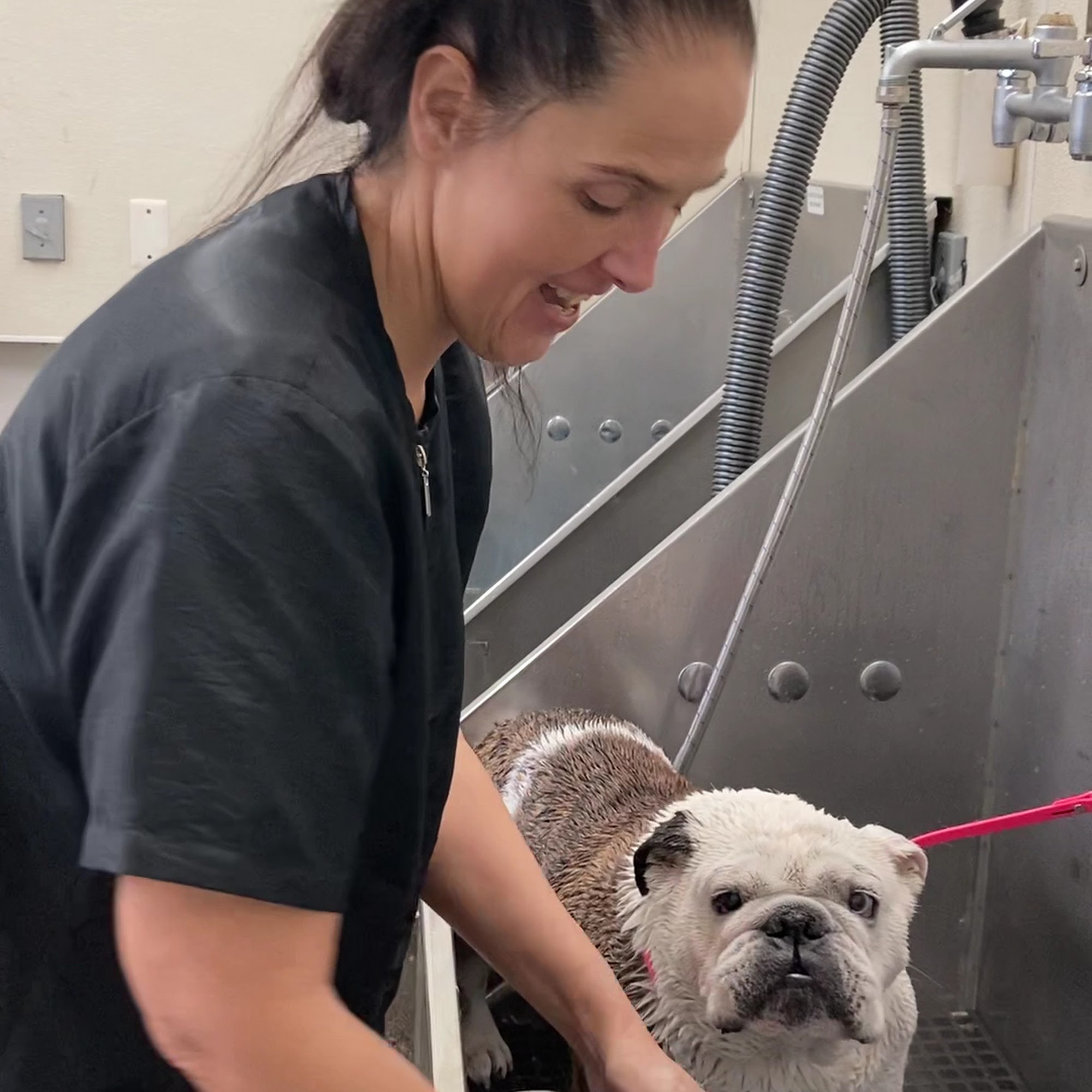 Catherine's Pet Parlor Royal Oak