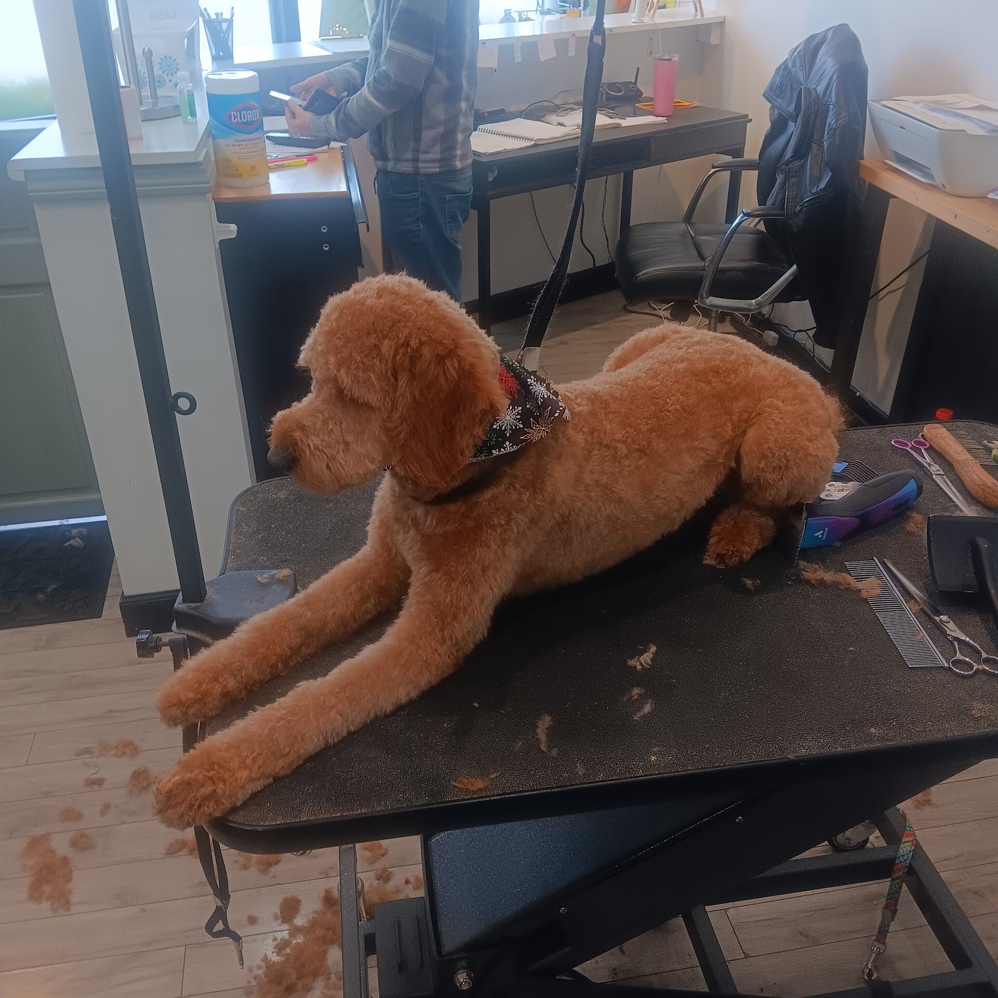 Woofward Ave Royal Oak