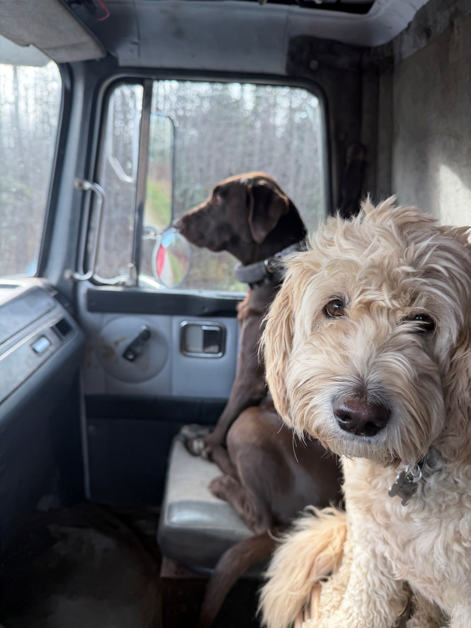 Great Lakes Excavating 2.0 LLC