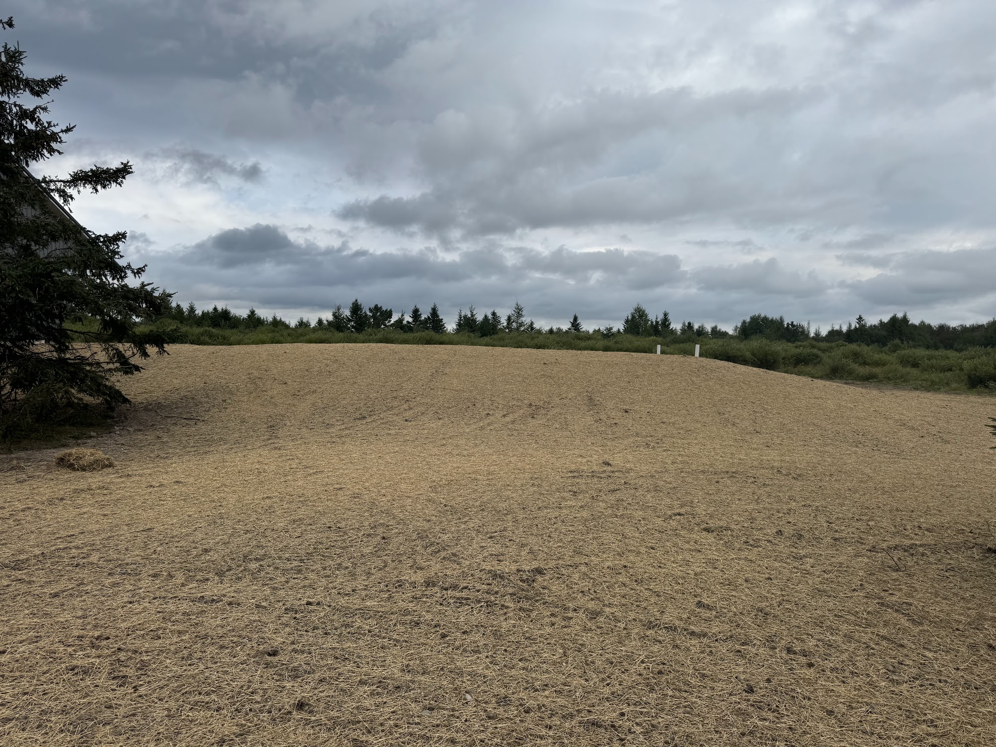 Great Lakes Excavating 2.0 LLC 10153 M-48, Rudyard Michigan 49780