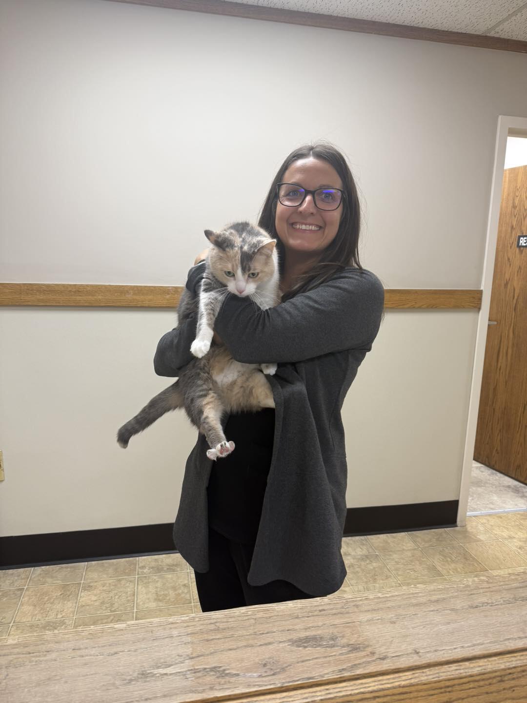 Cole Veterinary Hospital Saginaw