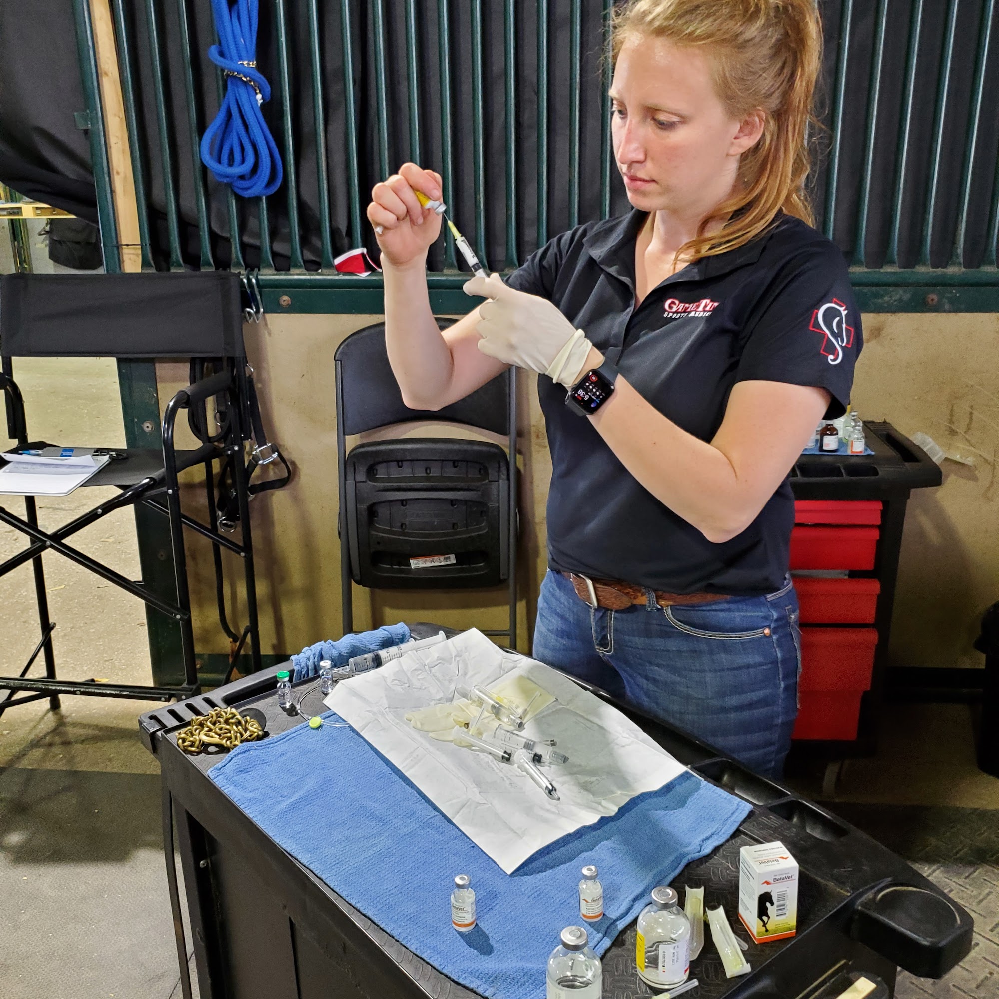 Saginaw Valley Equine Clinic Saginaw