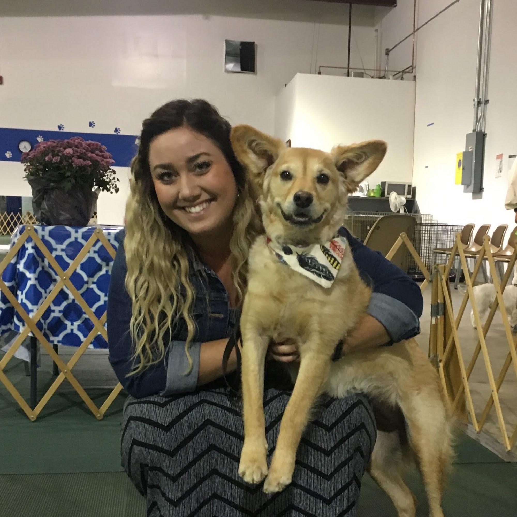Tri Cities Dog Training Club of Saginaw Bay Saginaw