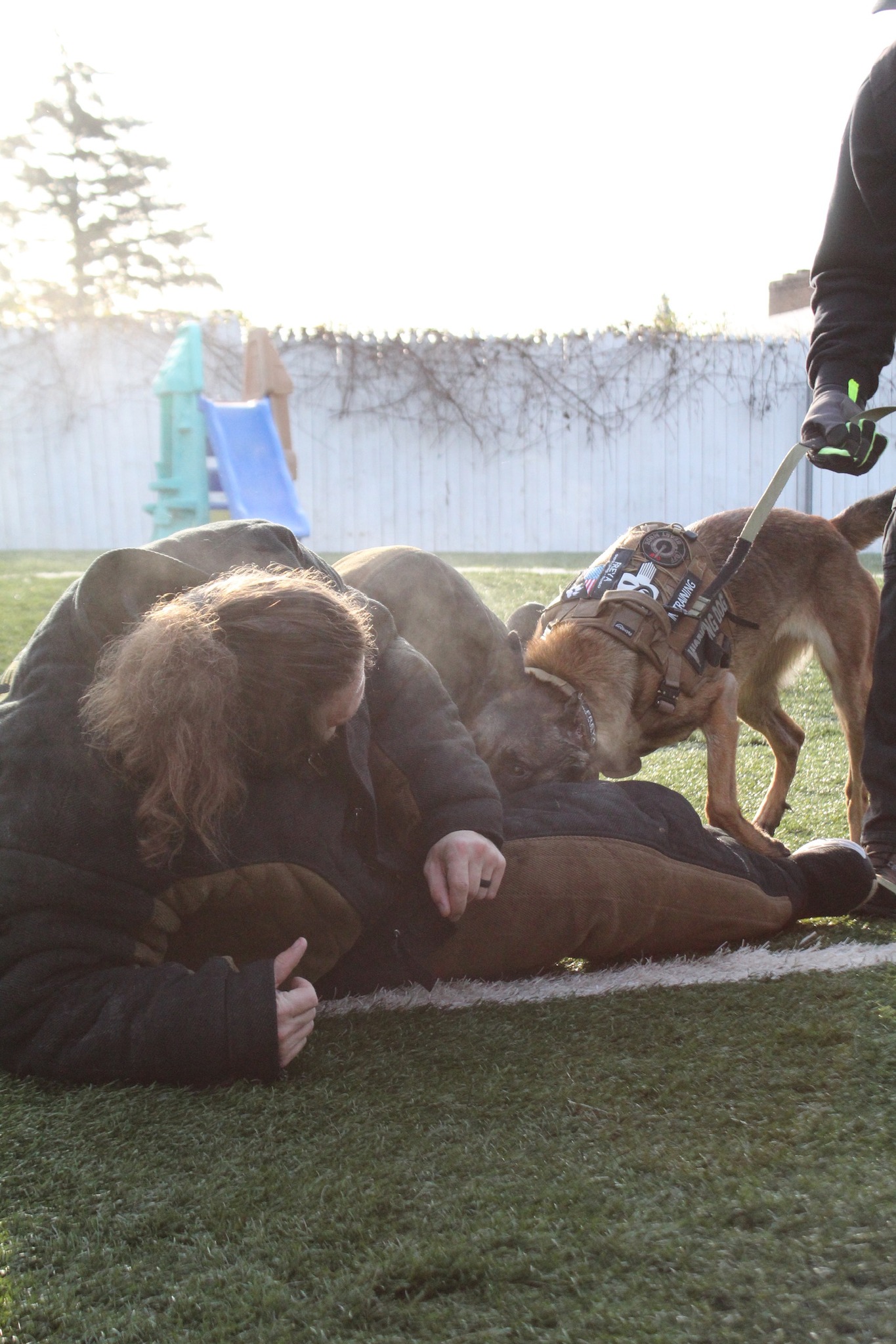 Mid-Michigan K9 Academy Saginaw