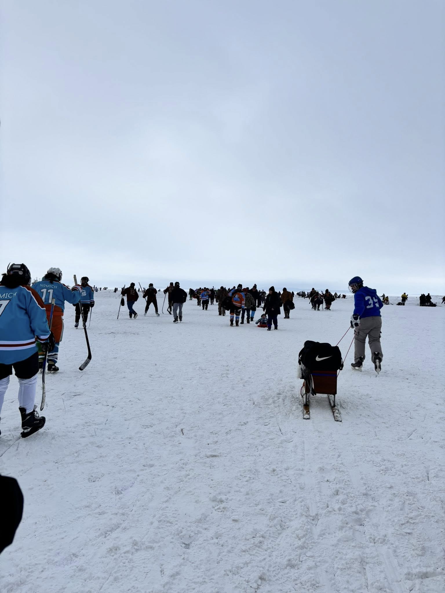 Dusty's Dogz Saint Ignace