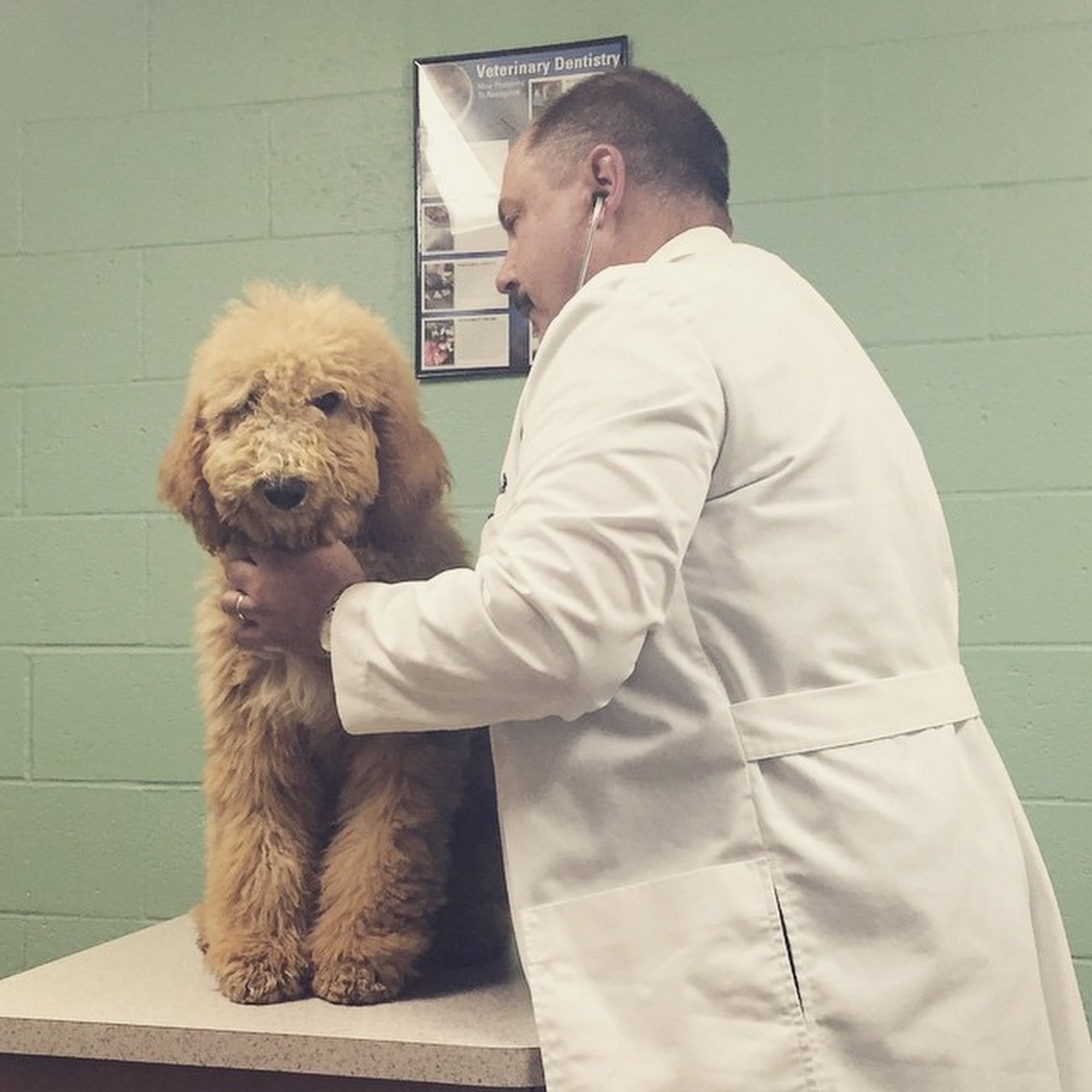 Sunset Coast Veterinary Clinic Saint Joseph