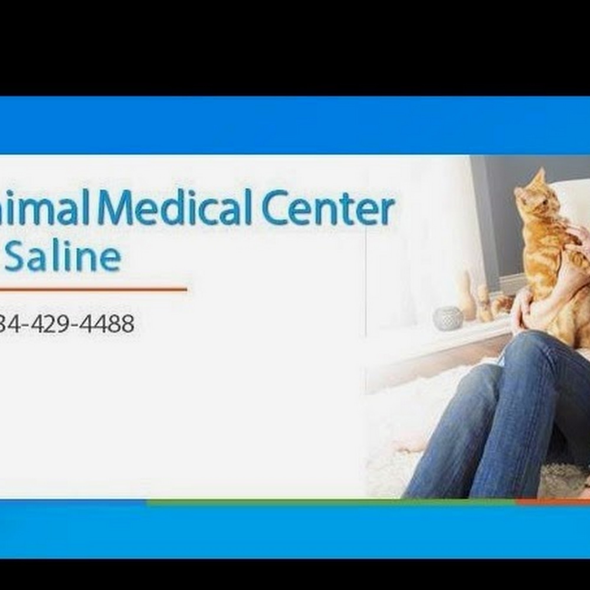 Lucian Blajan, DVM Saline