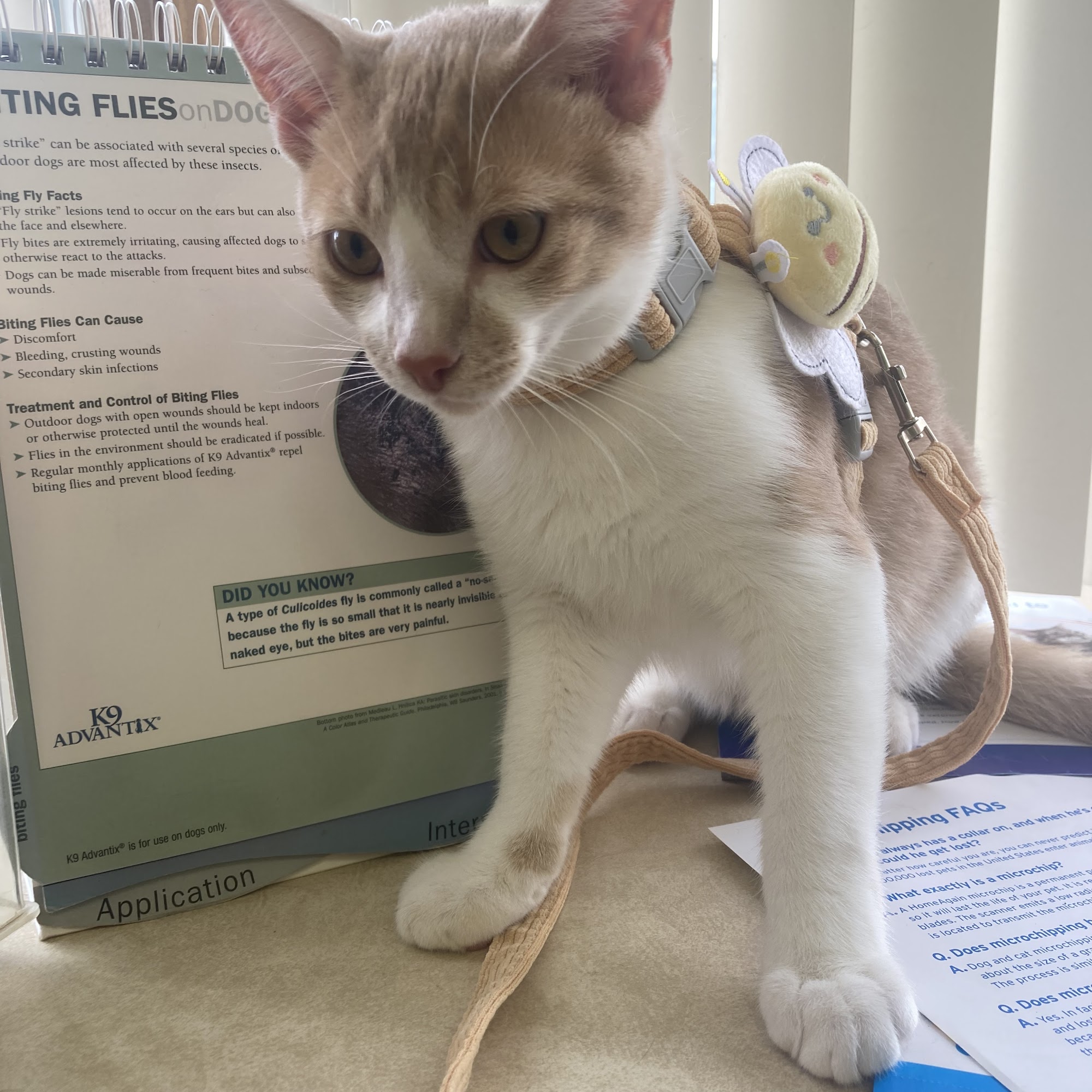 A Town & Country Animal Clinic Sandusky