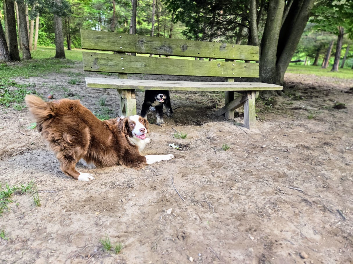 Camp Saugapup Saugatuck