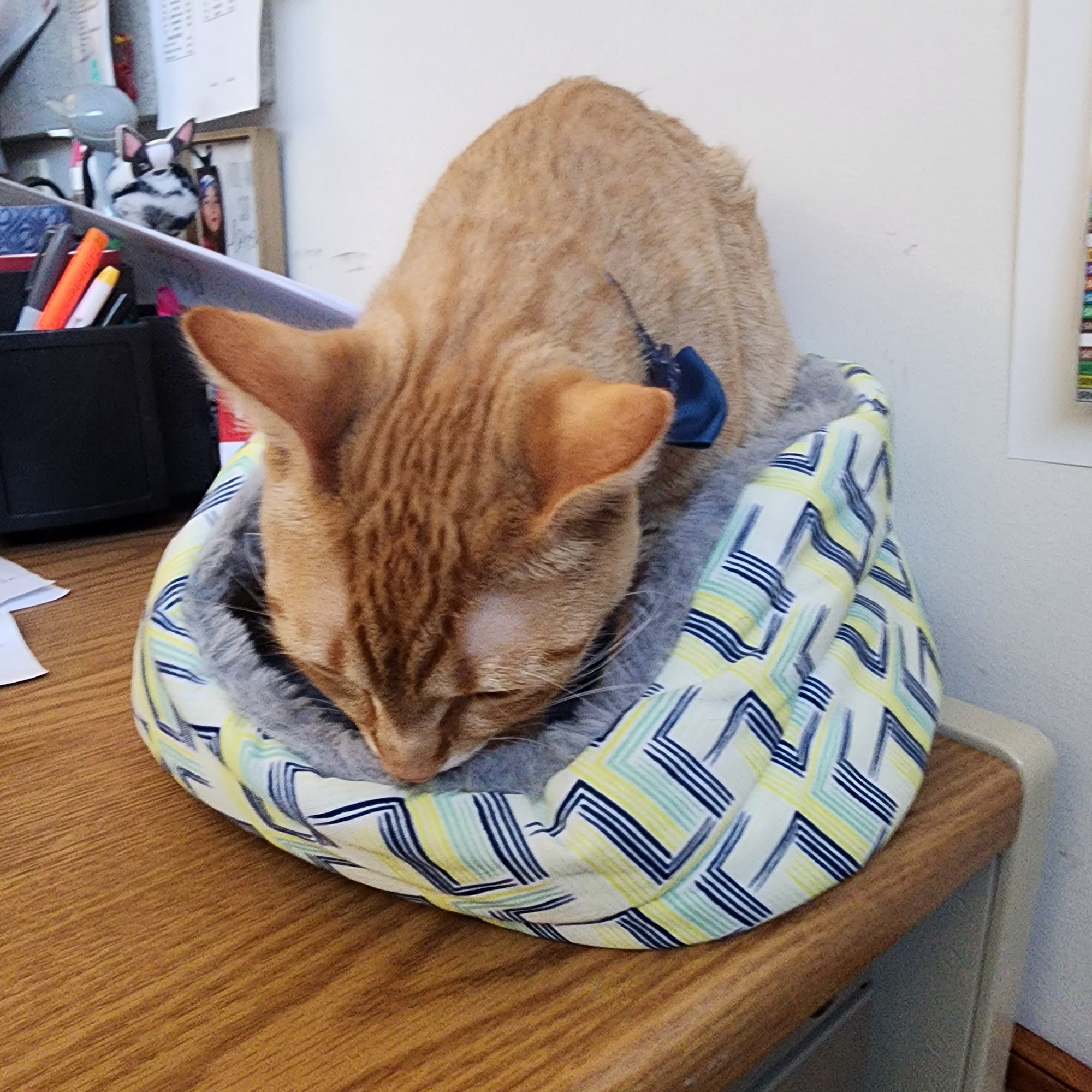 Schoolcraft Veterinary Clinic: Bandkau Doug L DVM Schoolcraft