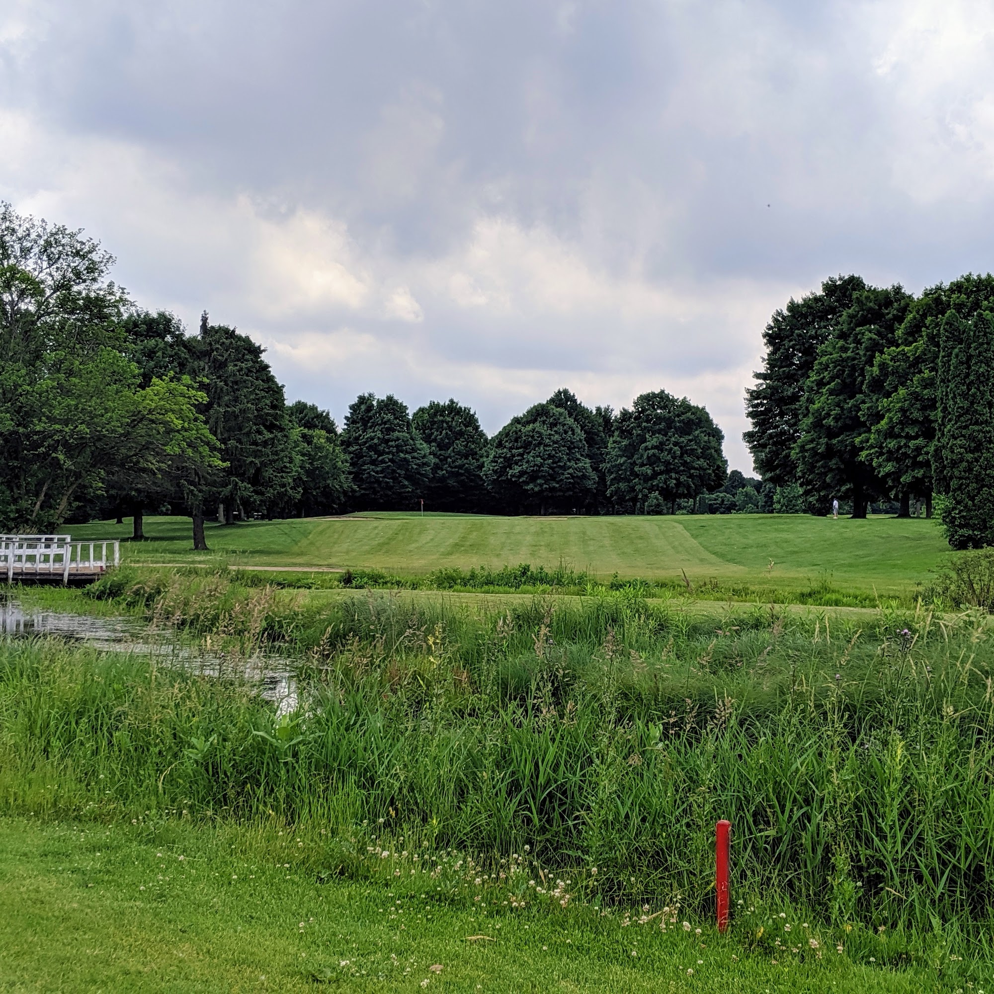 Olde Mill Golf Club Schoolcraft