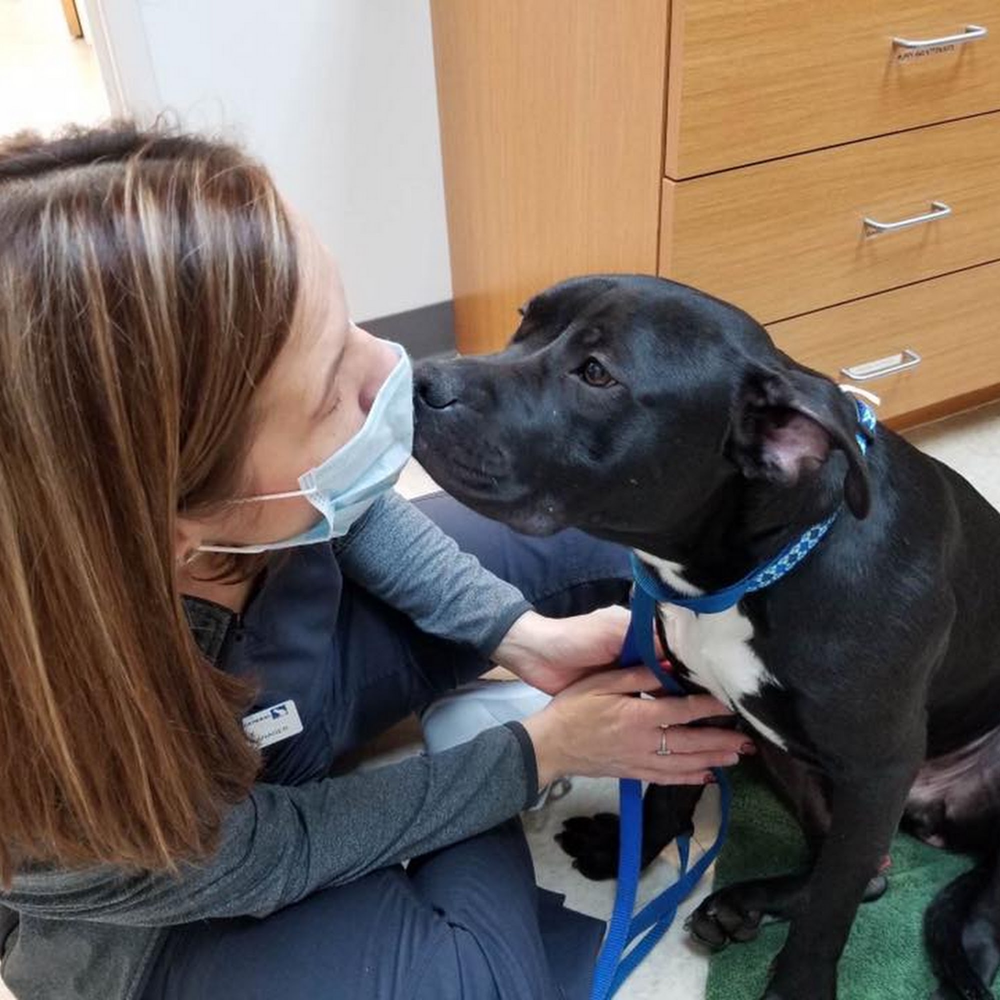 Veterinary General Inc Shelby