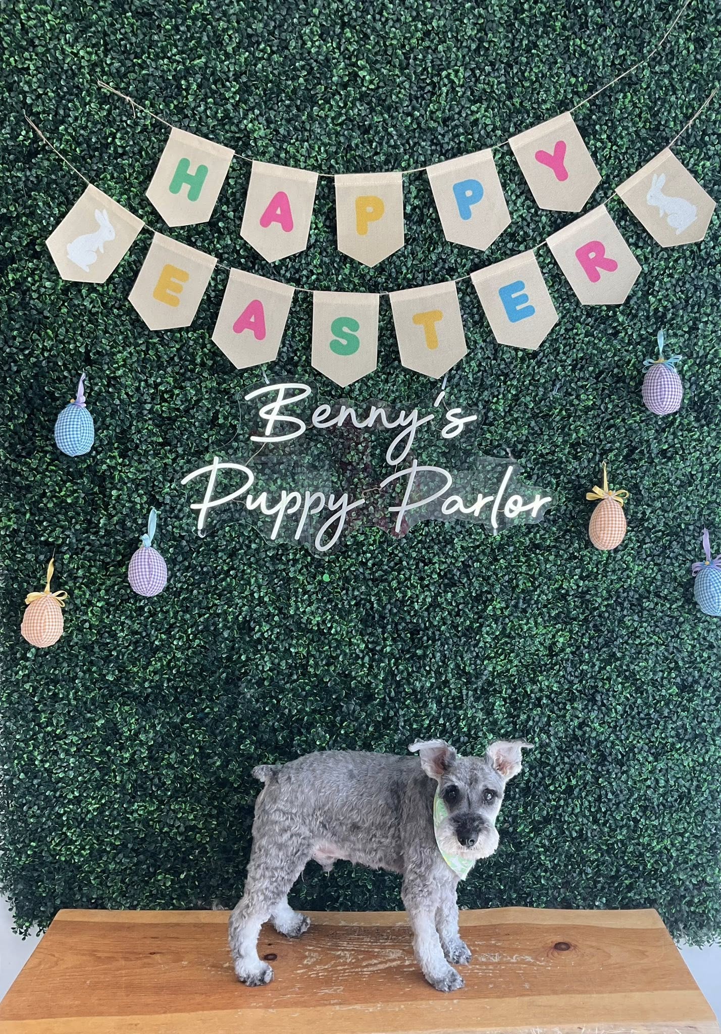 Benny’s Puppy Parlor Shelby