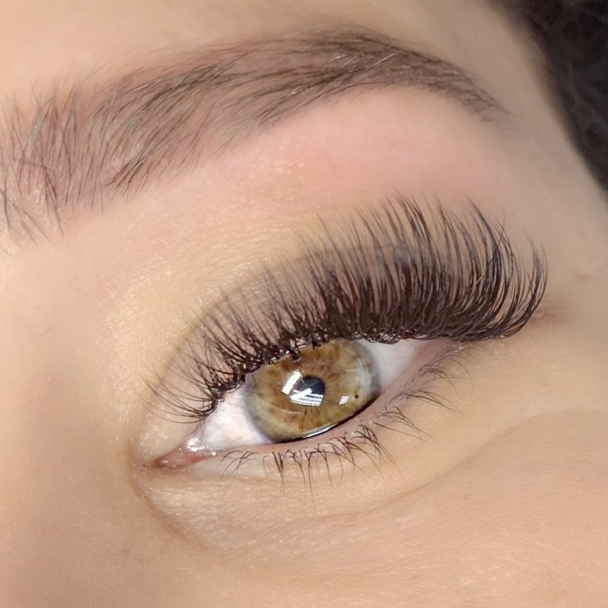 Doll Haus 45929 Hayes Rd, Shelby Township Michigan 45929