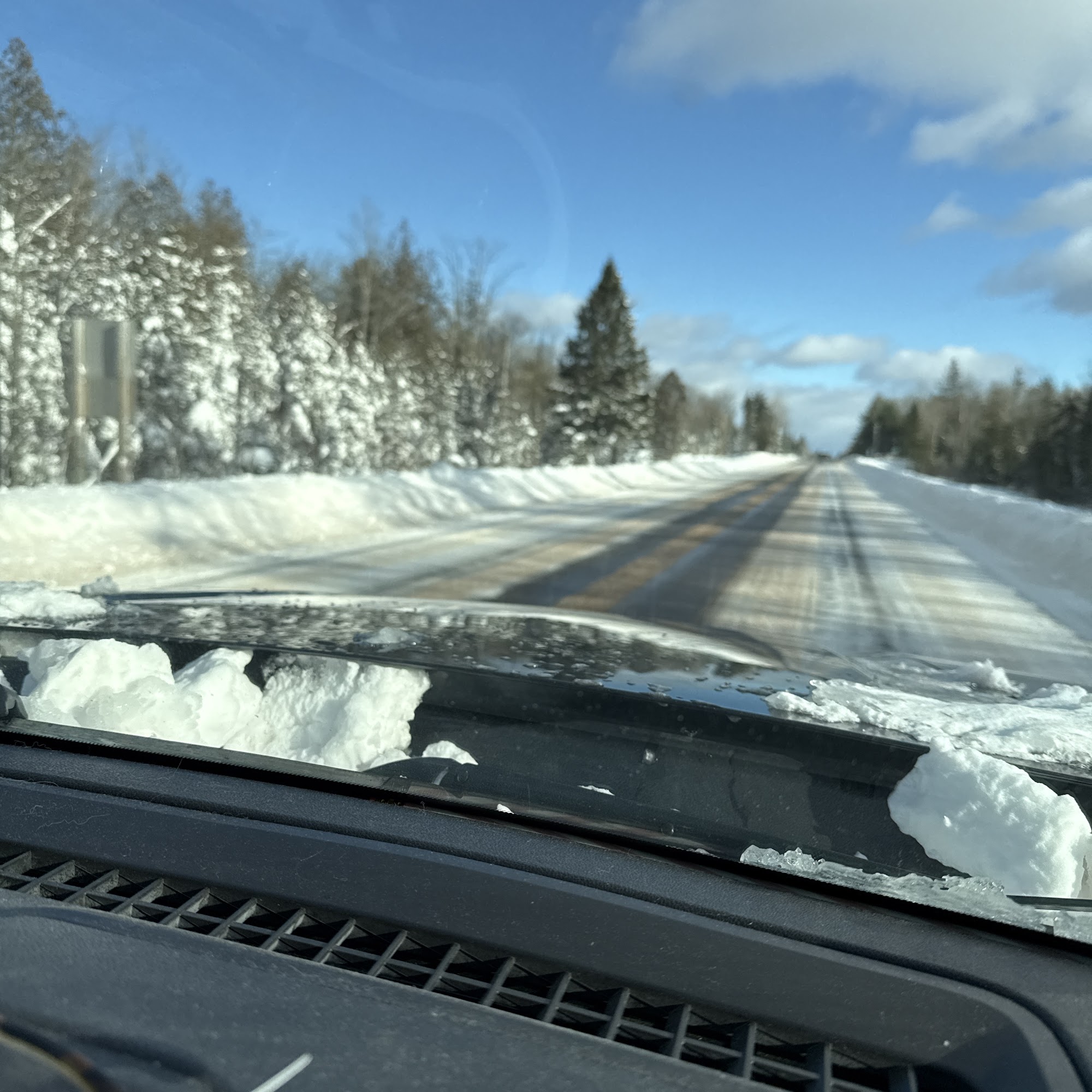 Bergdahl's Inc. Skandia