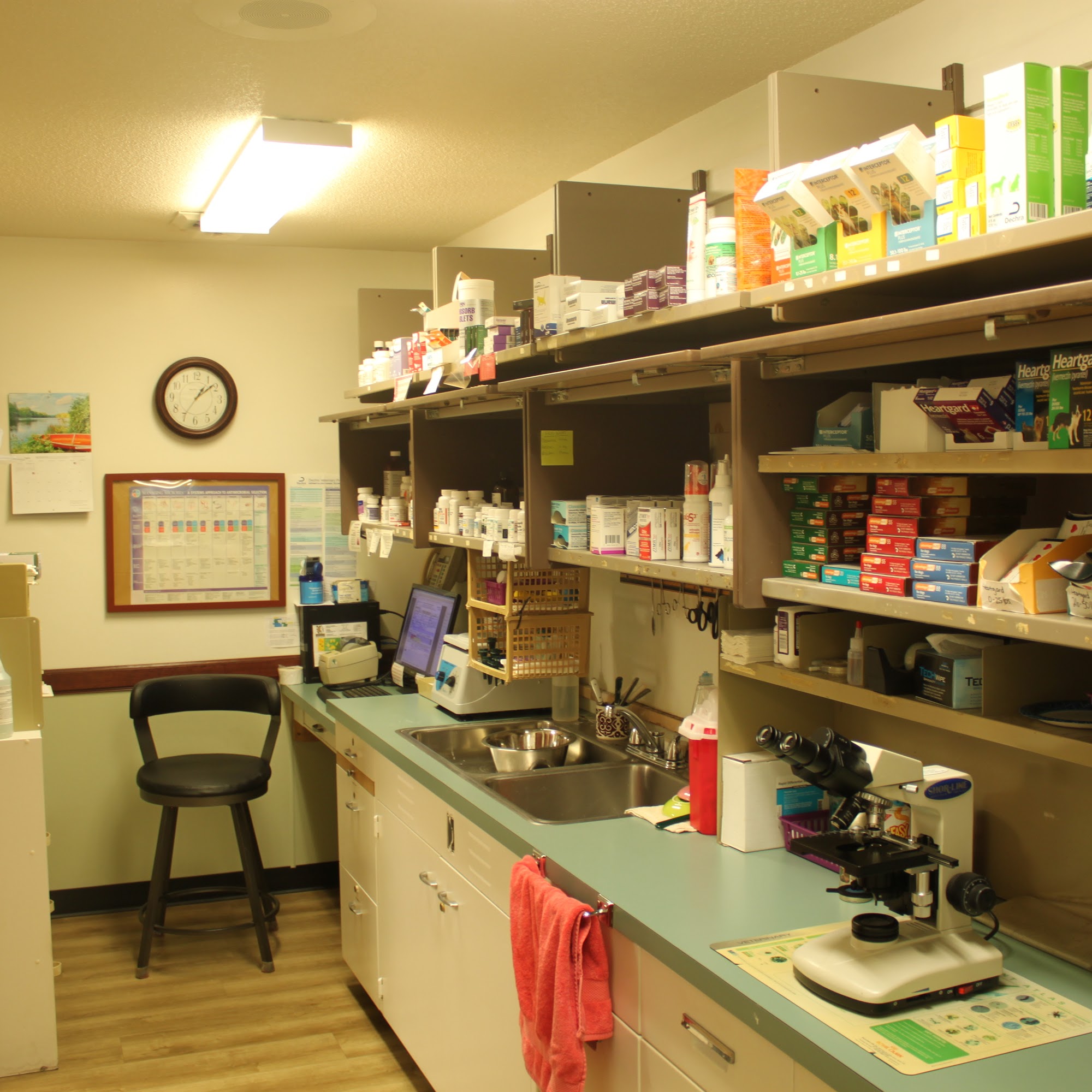 South Haven Animal Hospital South Haven