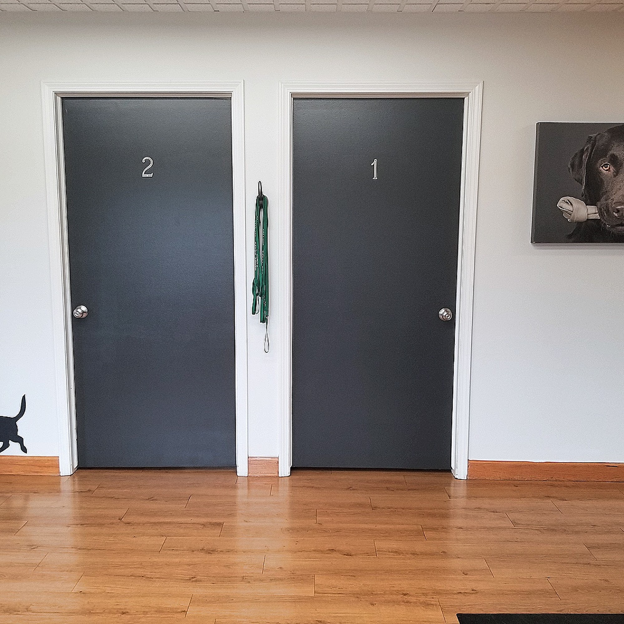 Dandy Acres Animal Hospital South Lyon