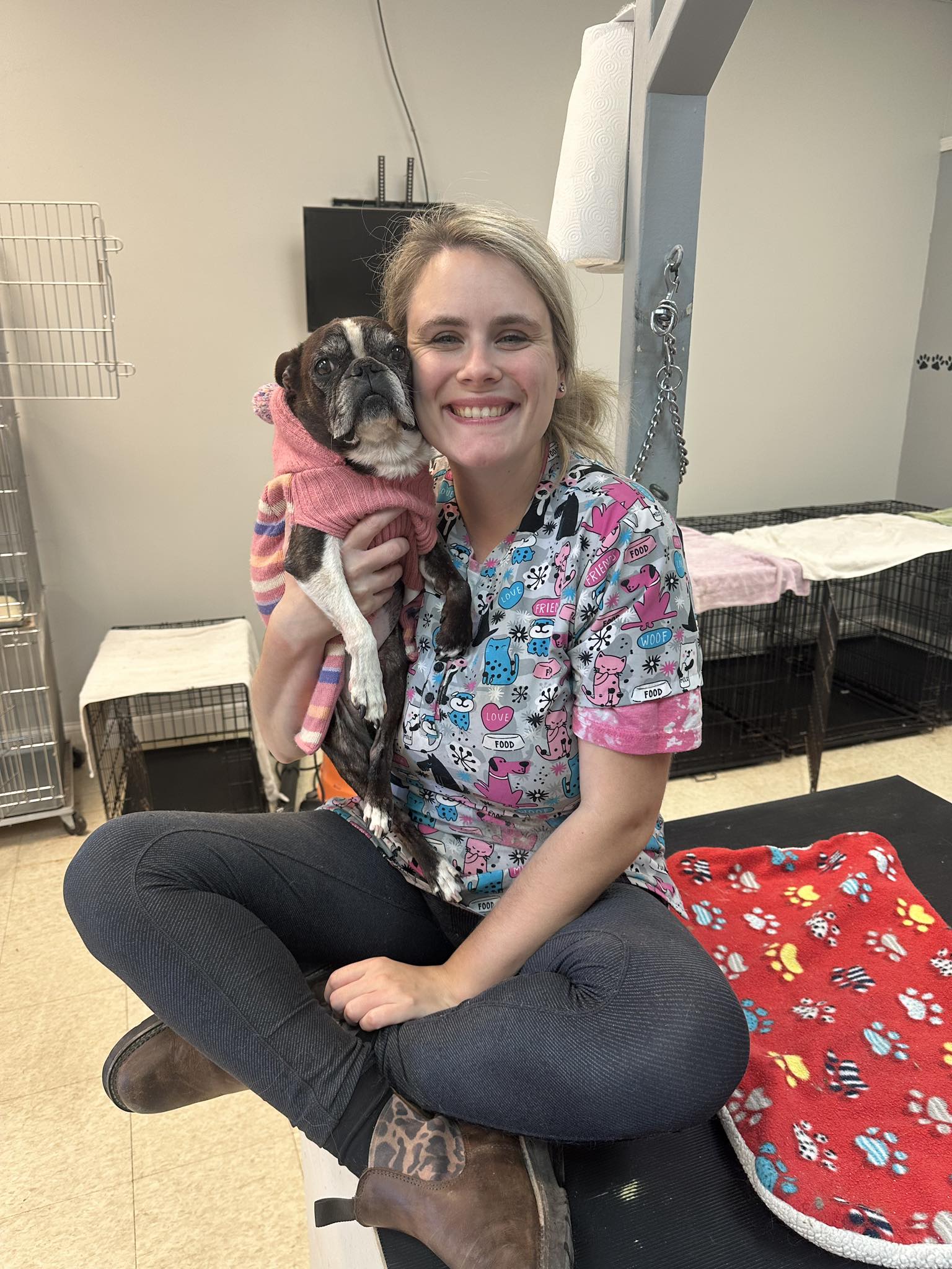 Man's Best Friend Grooming South Lyon