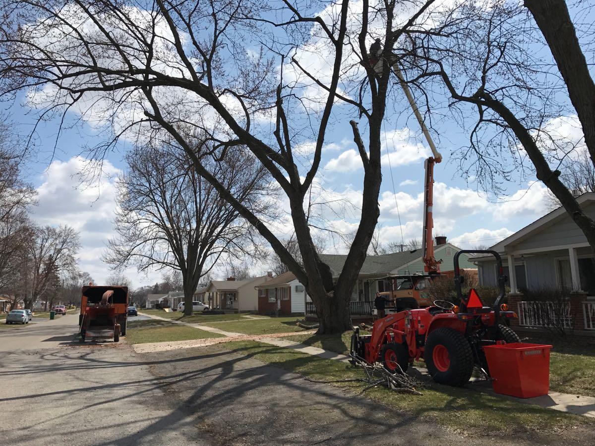 Photo credit: nextdoor