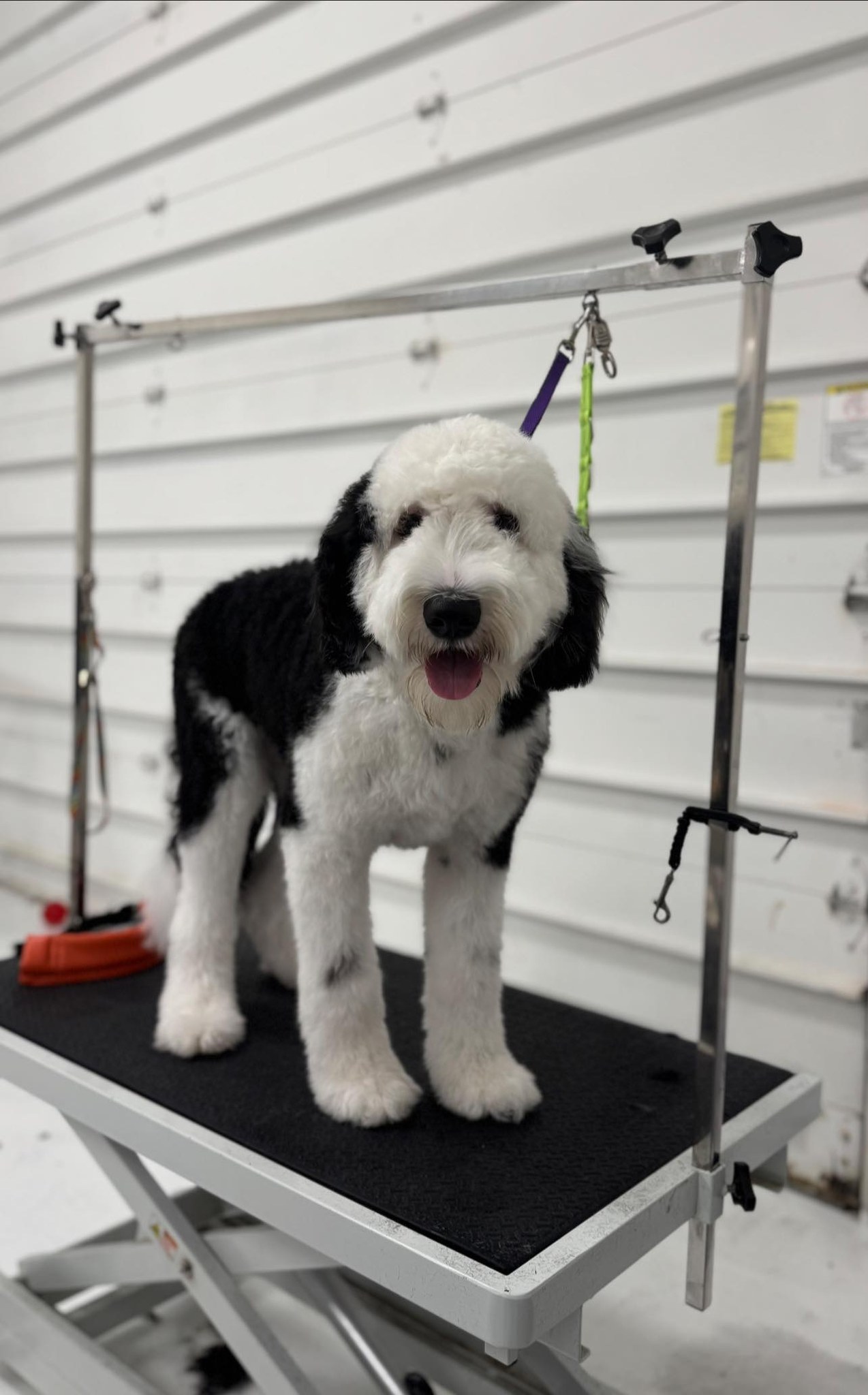 The Grooming Garage South Lyon